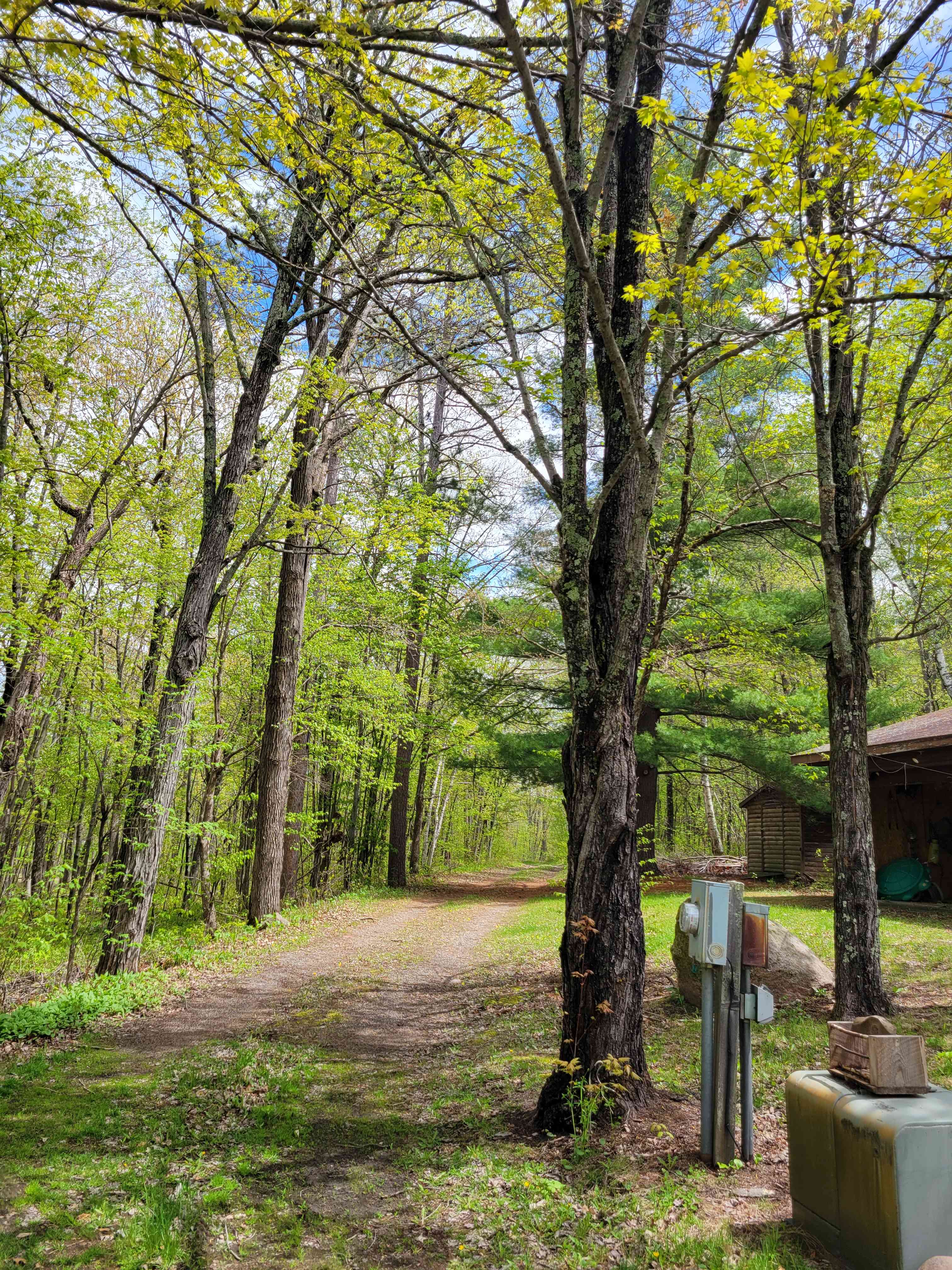 Winding Woods on Pine River