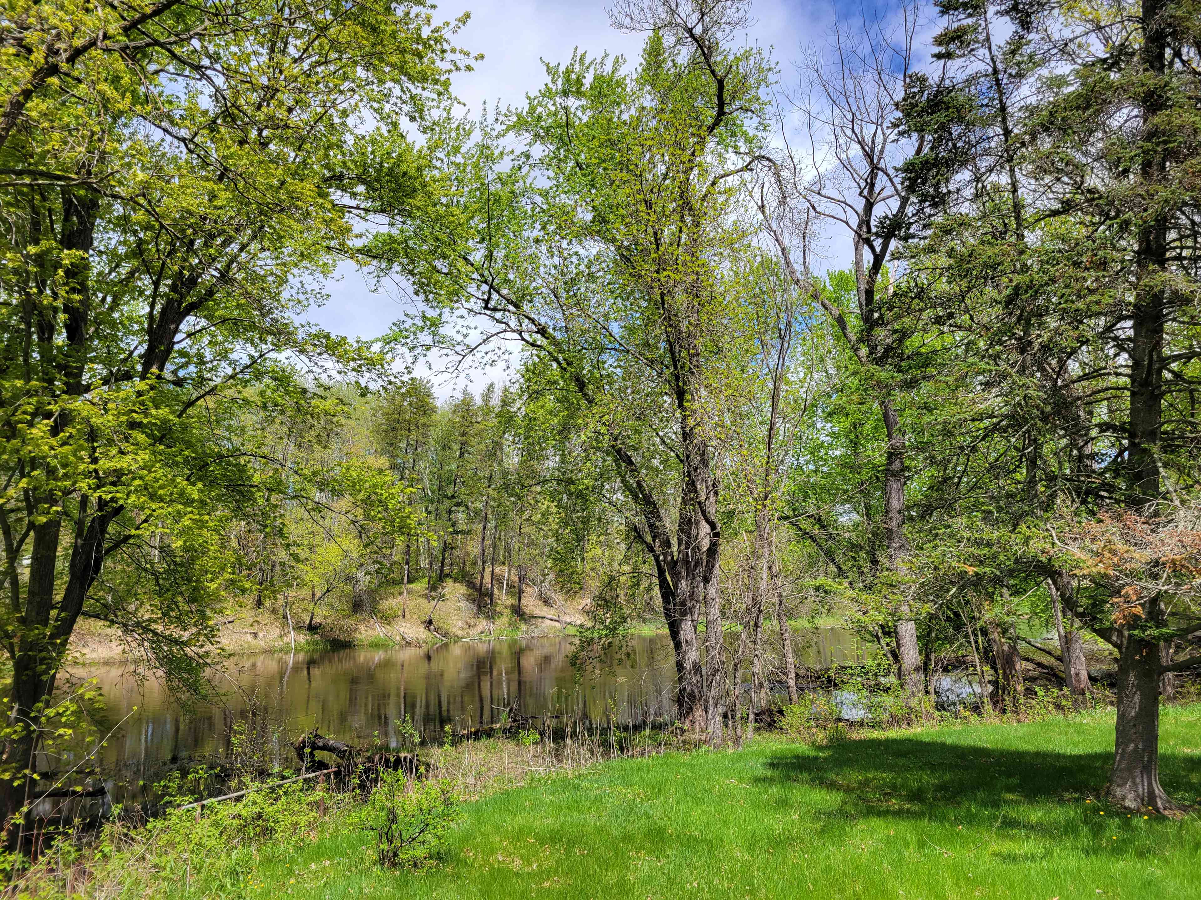 Winding Woods on Pine River