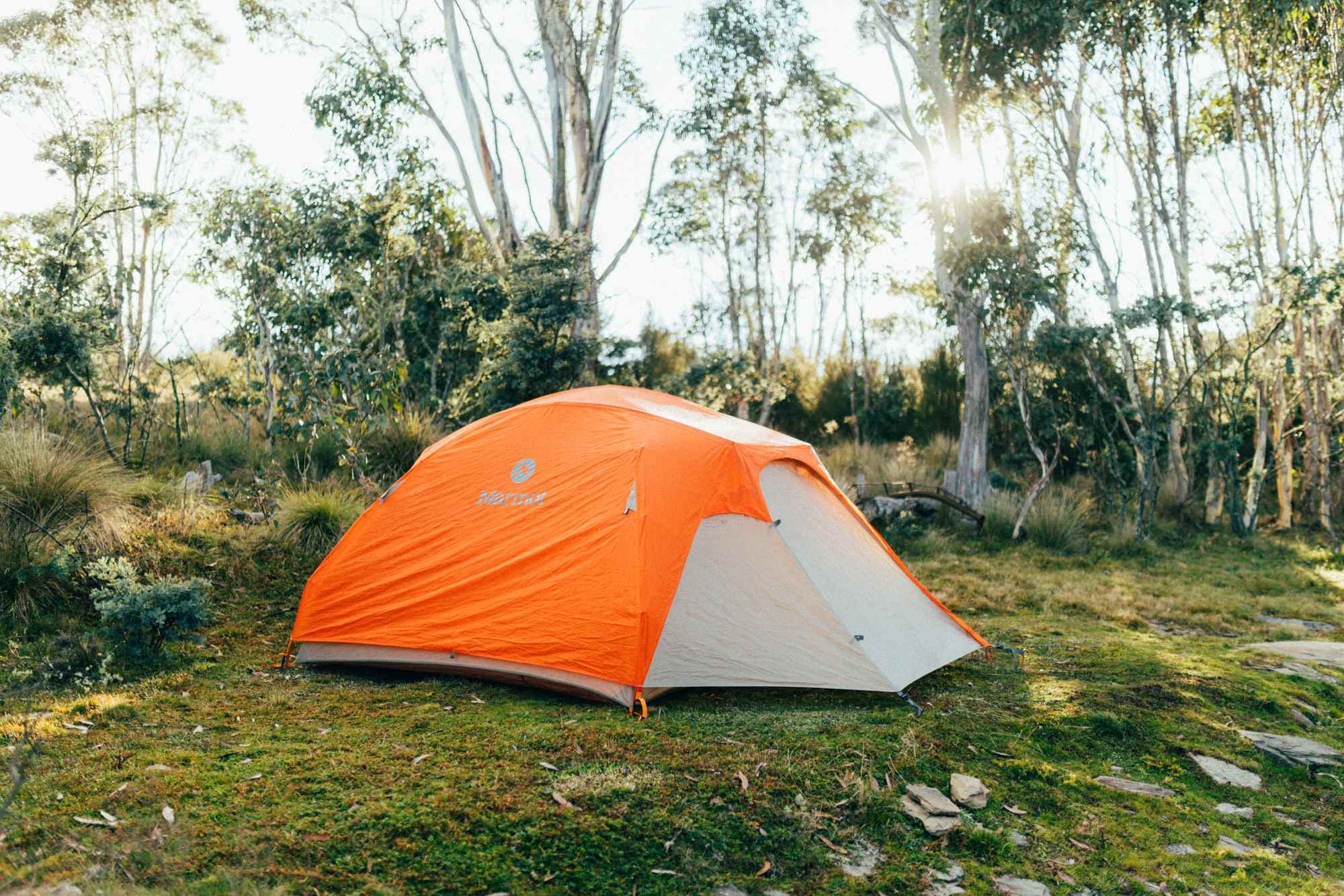 Nice morning light on the tent