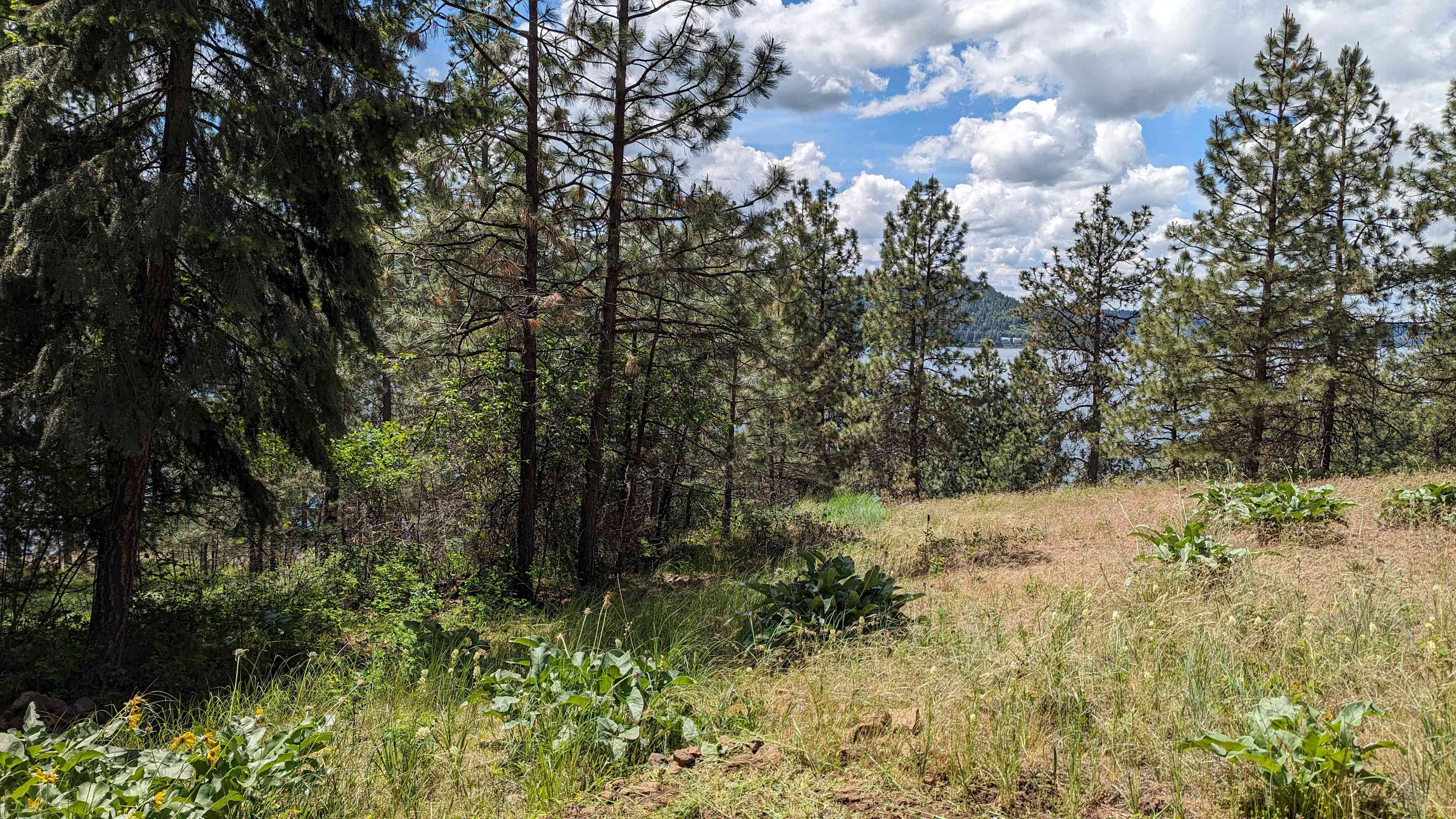 Harrison Bluffs Campground
