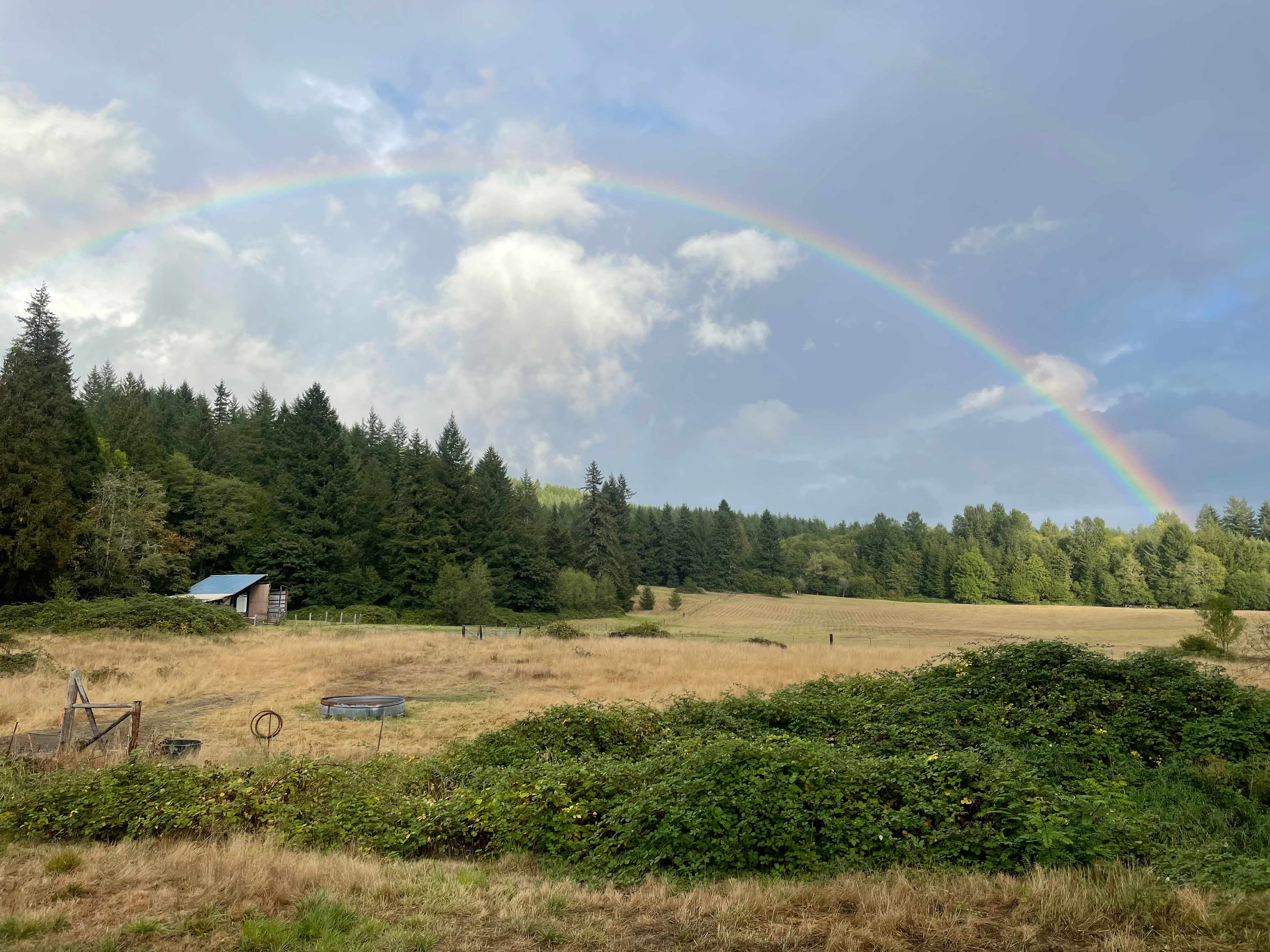 We get an unusual number of rainbows and bouts of fog here because of the high level of water vapor in the air.