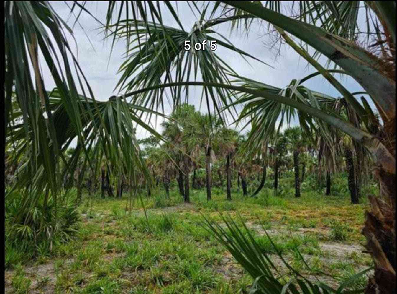 Prana's Paradise