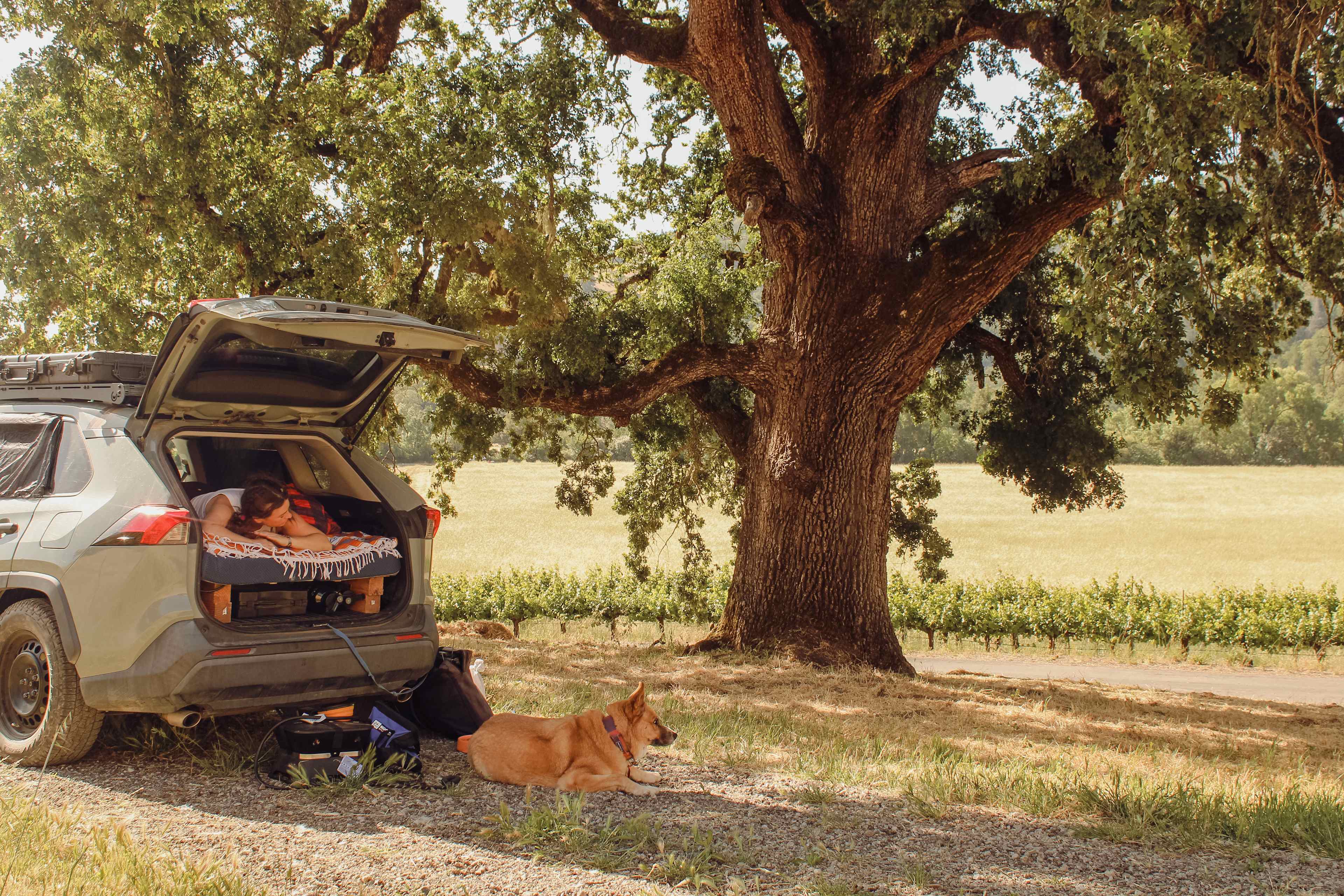 Naptime in the shade with a nice breeze after long drives are pretty stellar
