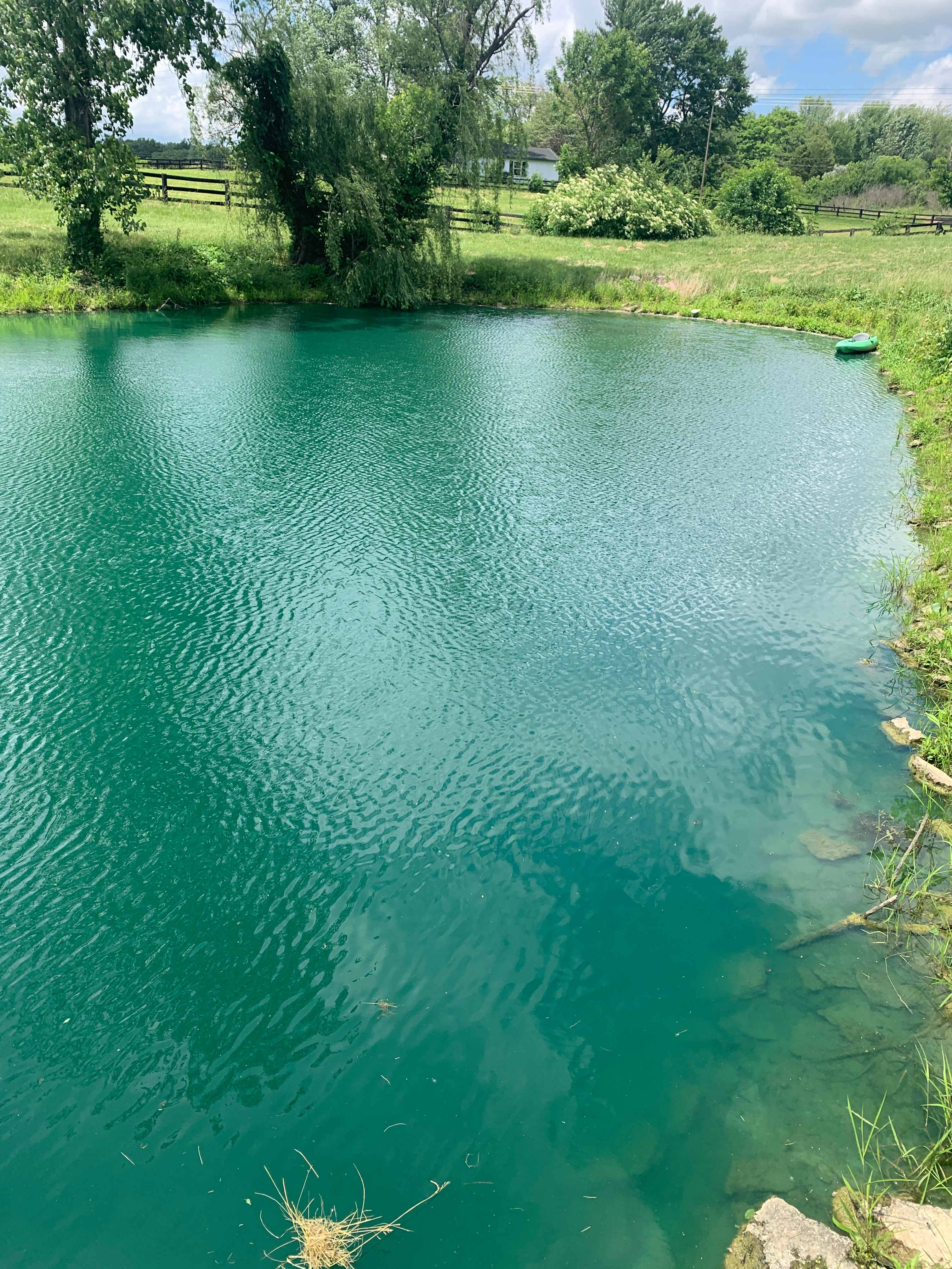 Lake view