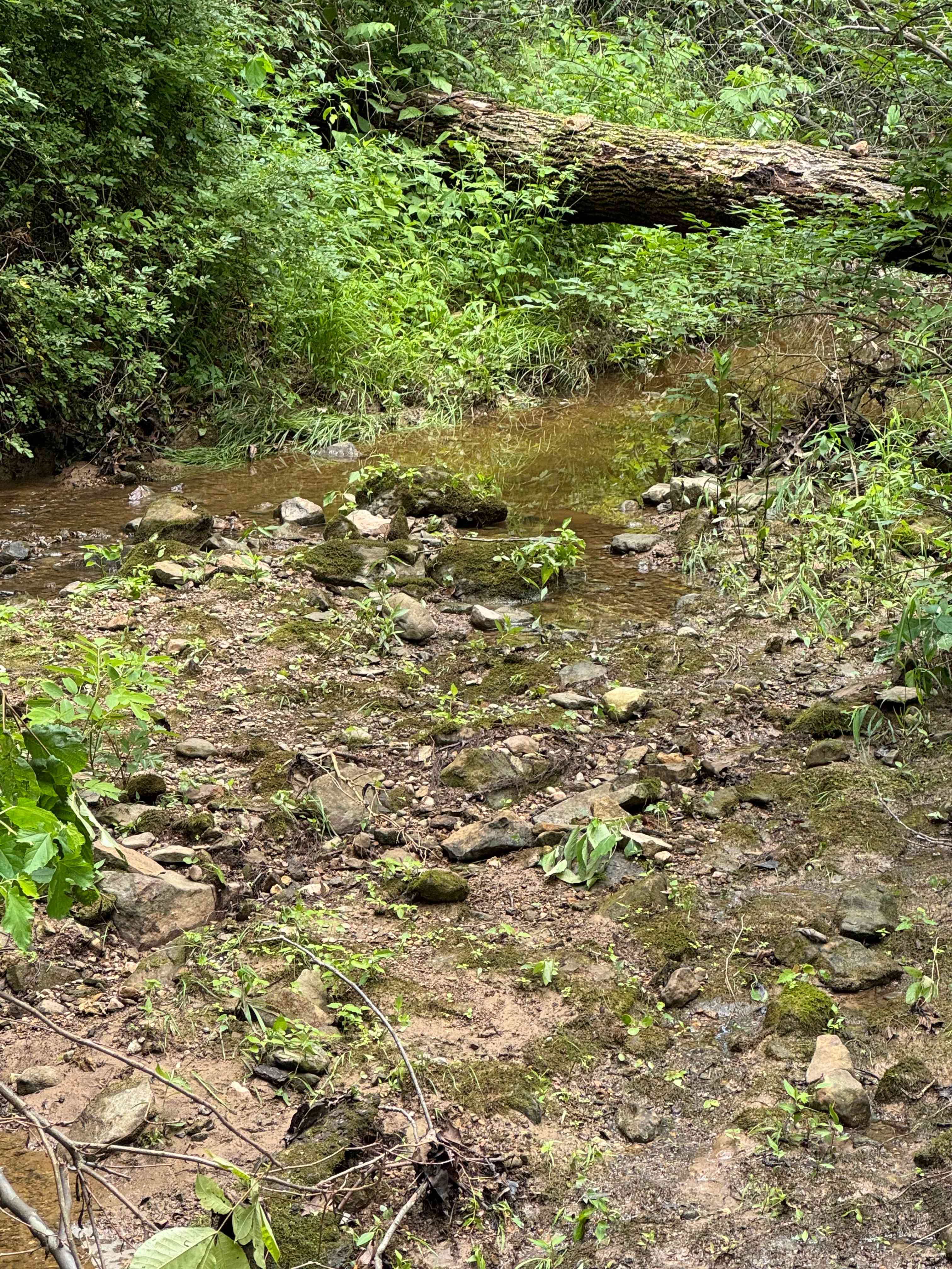 Bennett branch creek