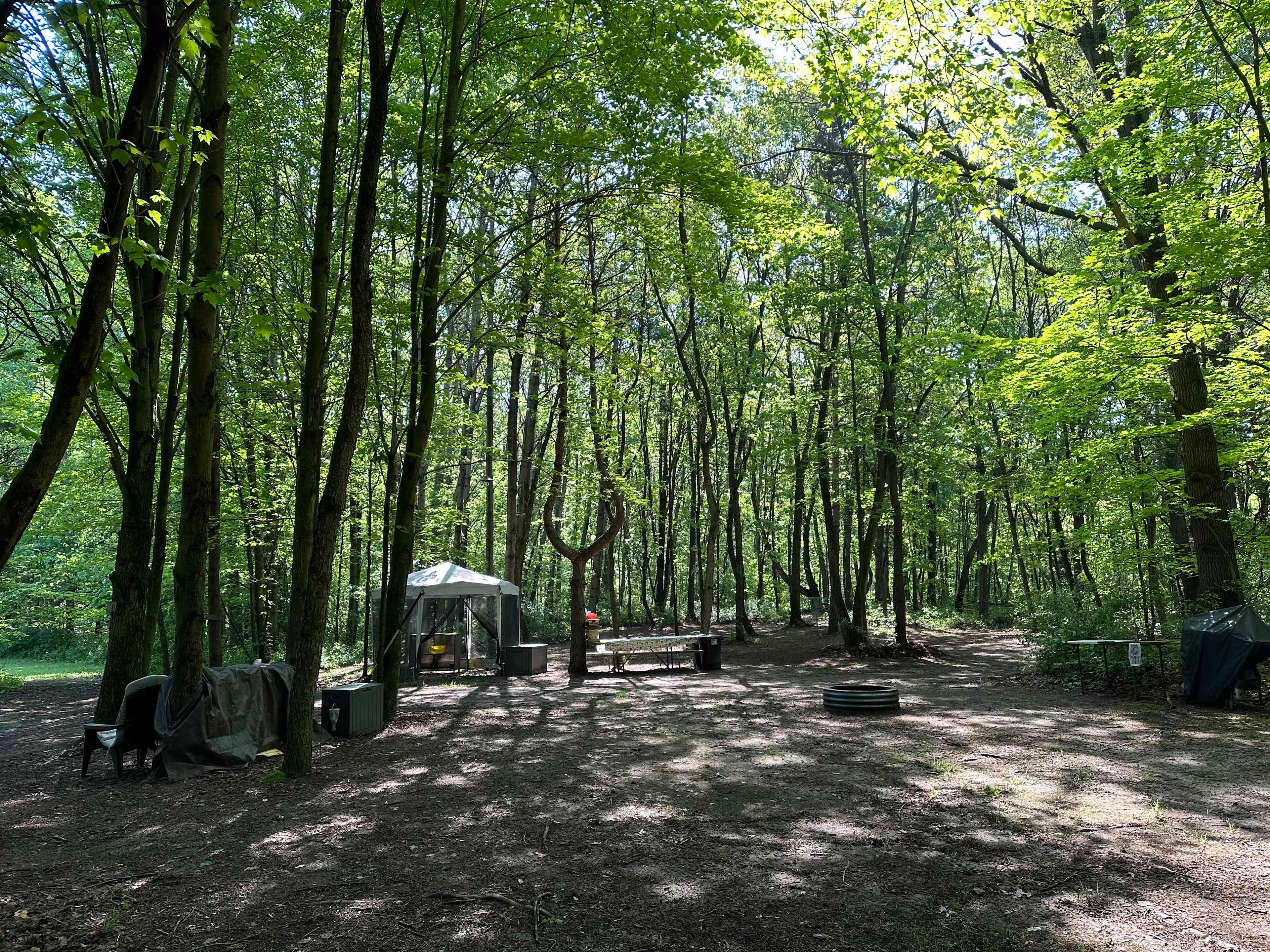 Sugar Shack Disc Golf Campground