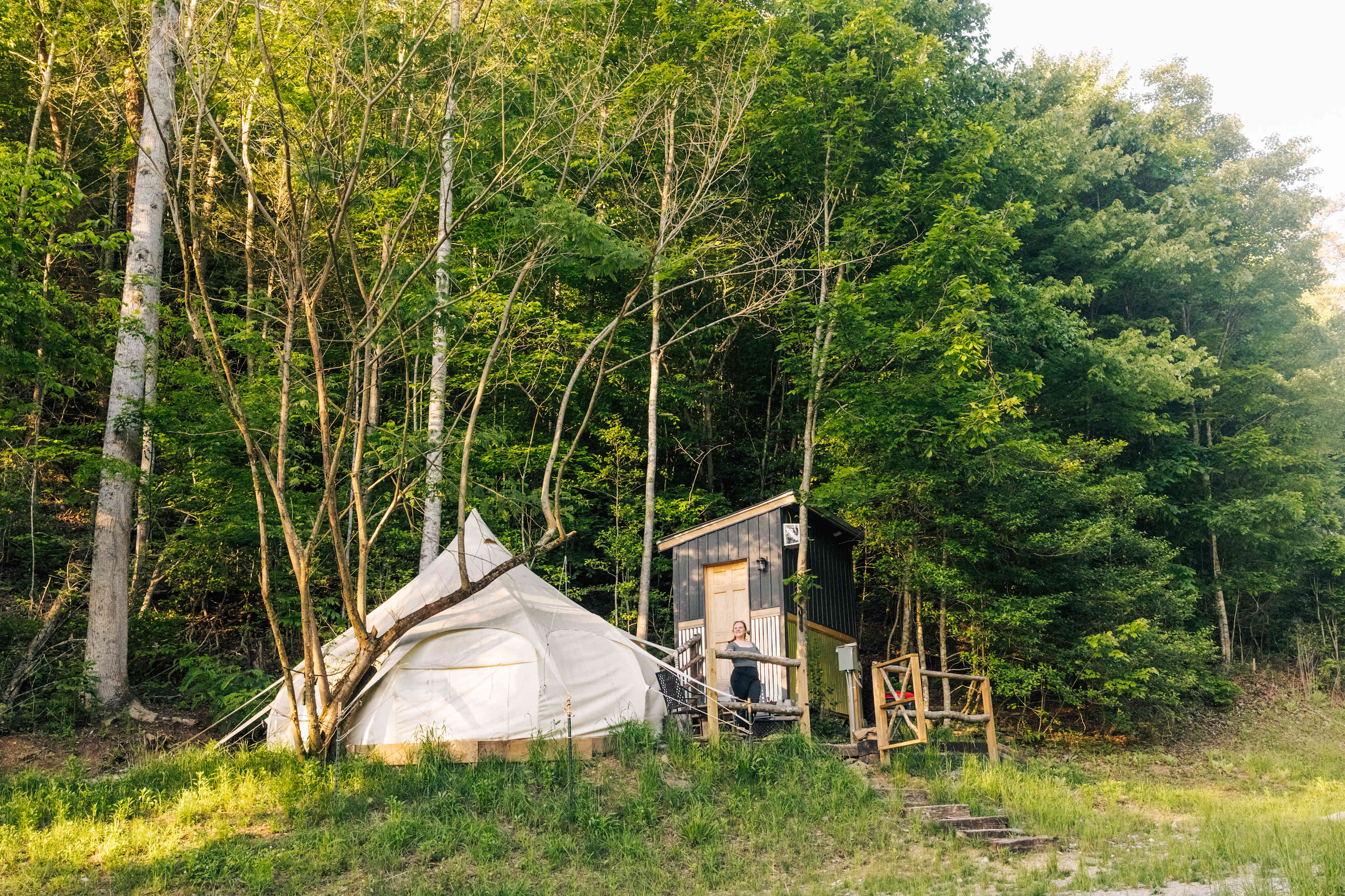 Wanderlust Woods