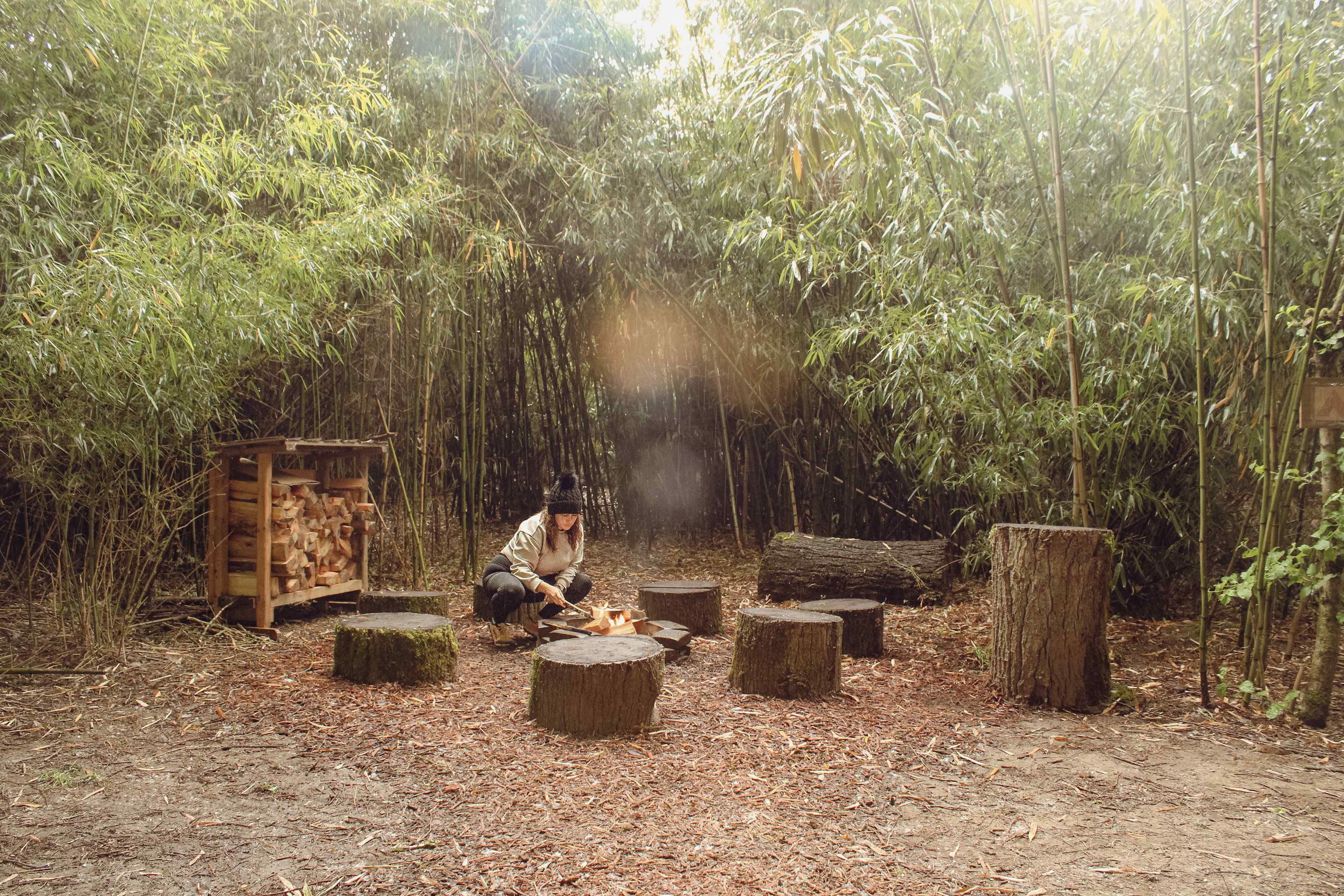 Campfire 1 with available firewood