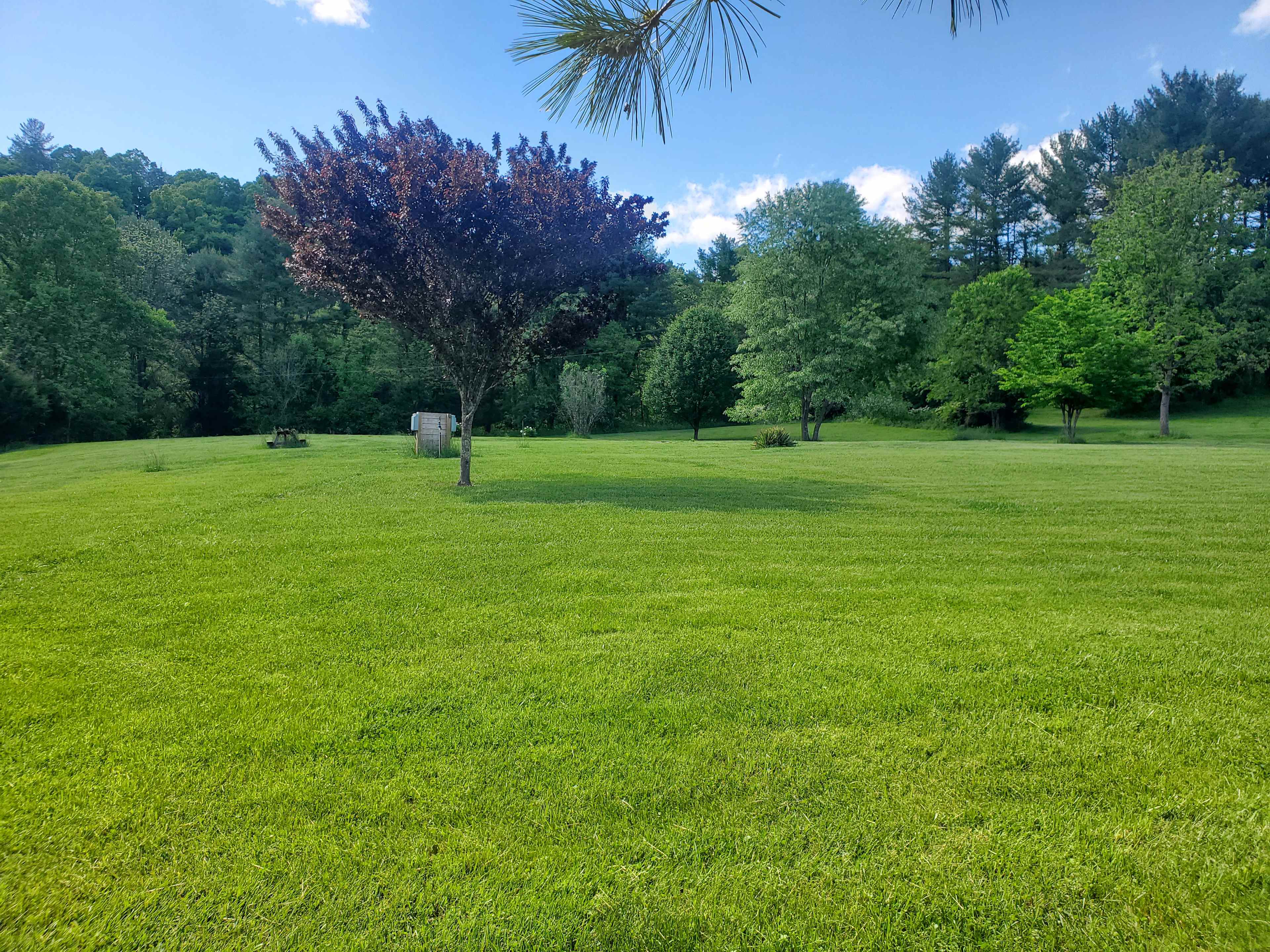 View of spot from picnic pavilion.