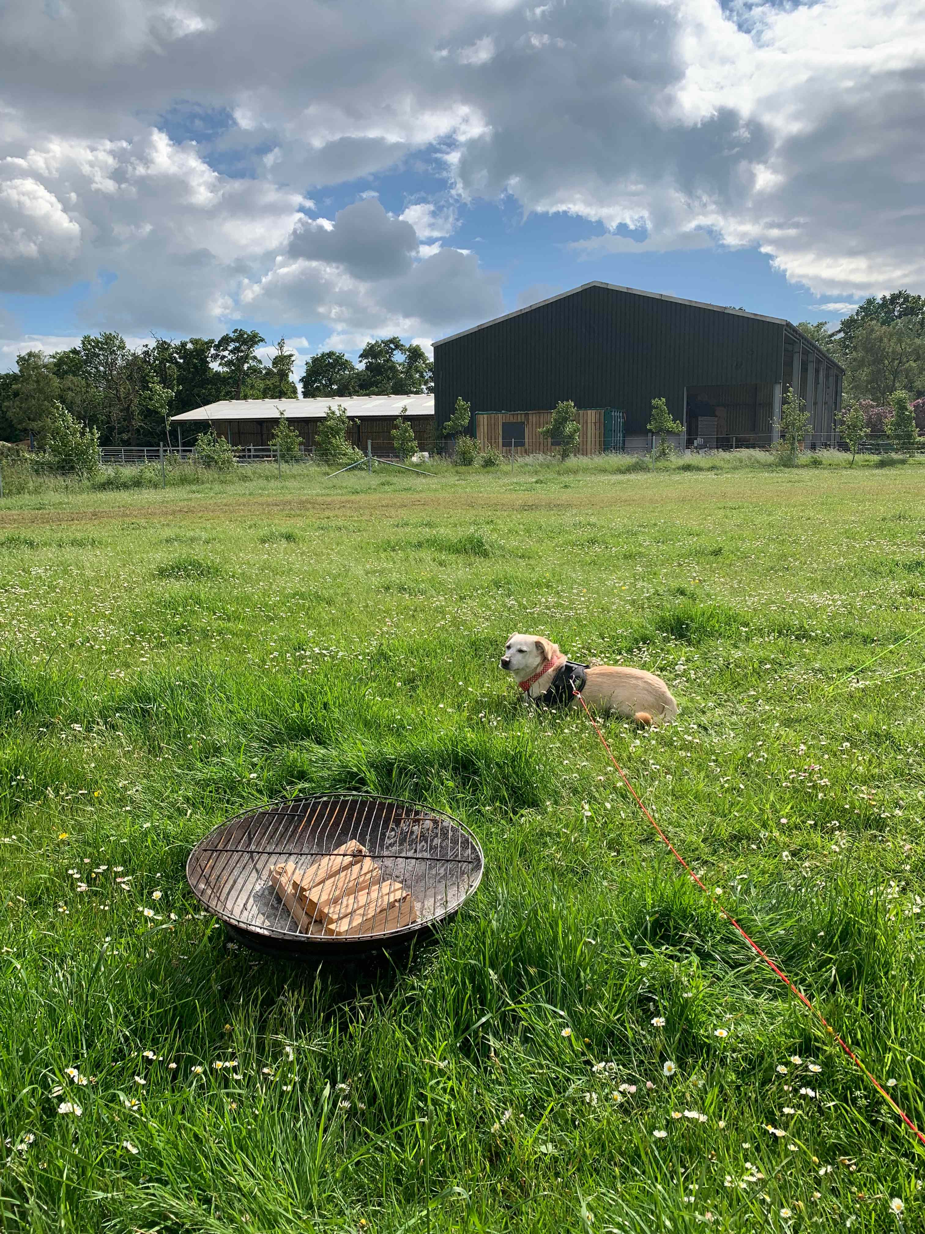 Teddy's Farm