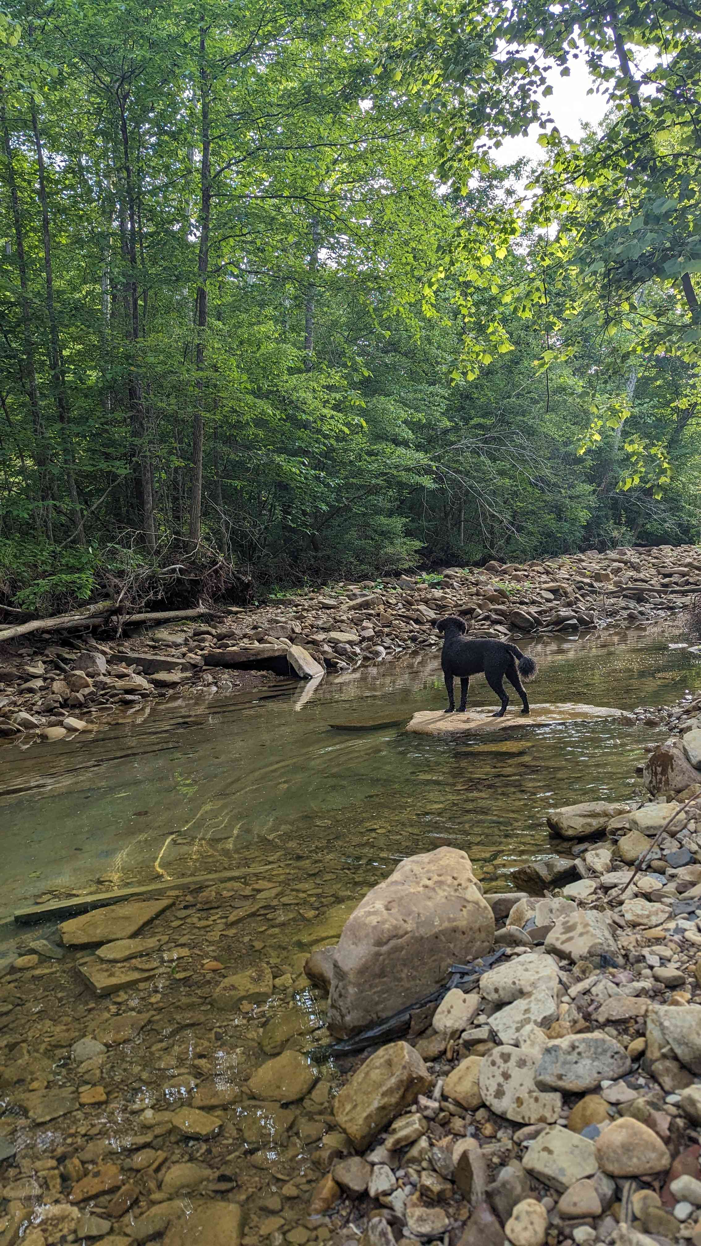 Camp Creek