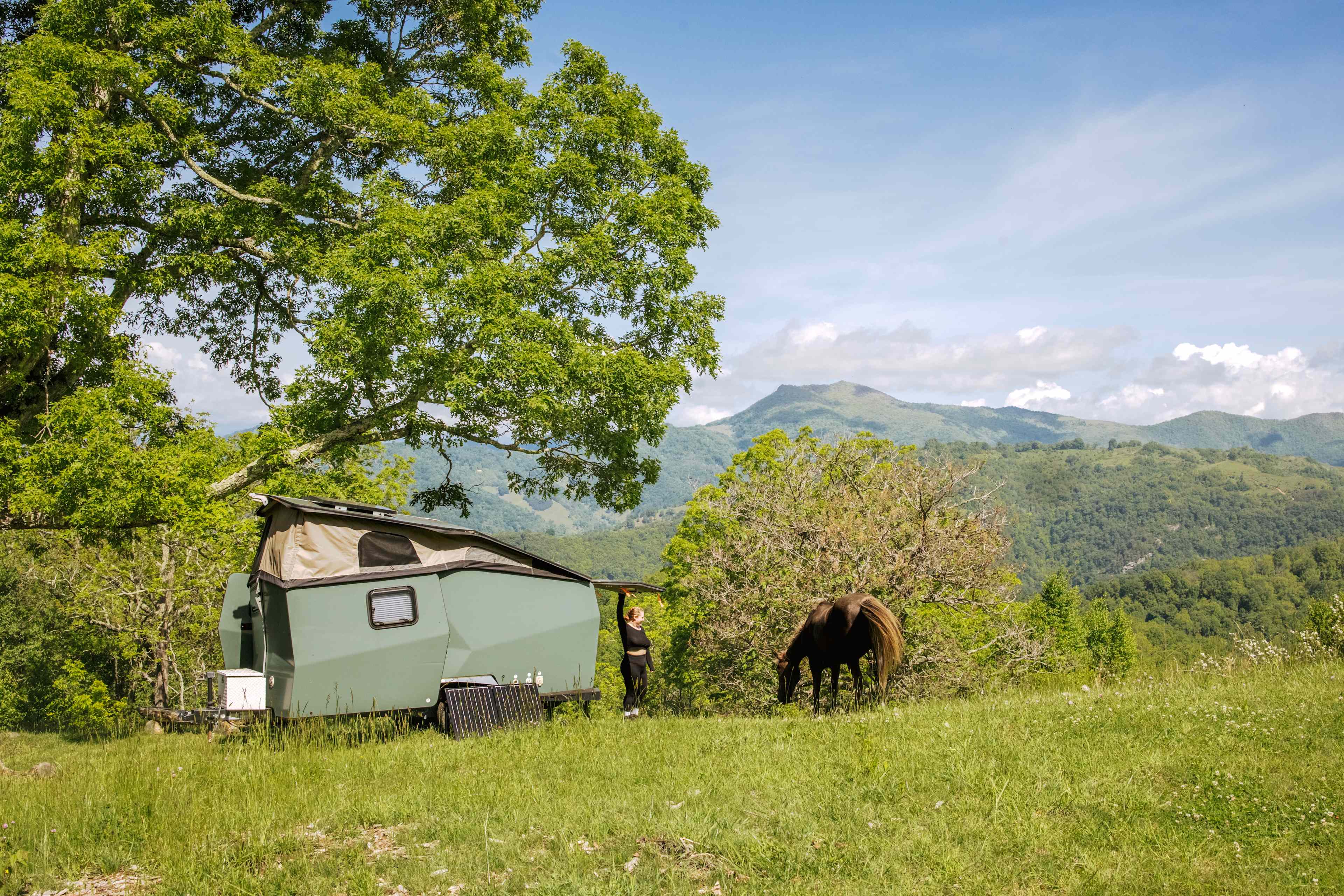 If you're lucky, the horses will pay you a visit. 