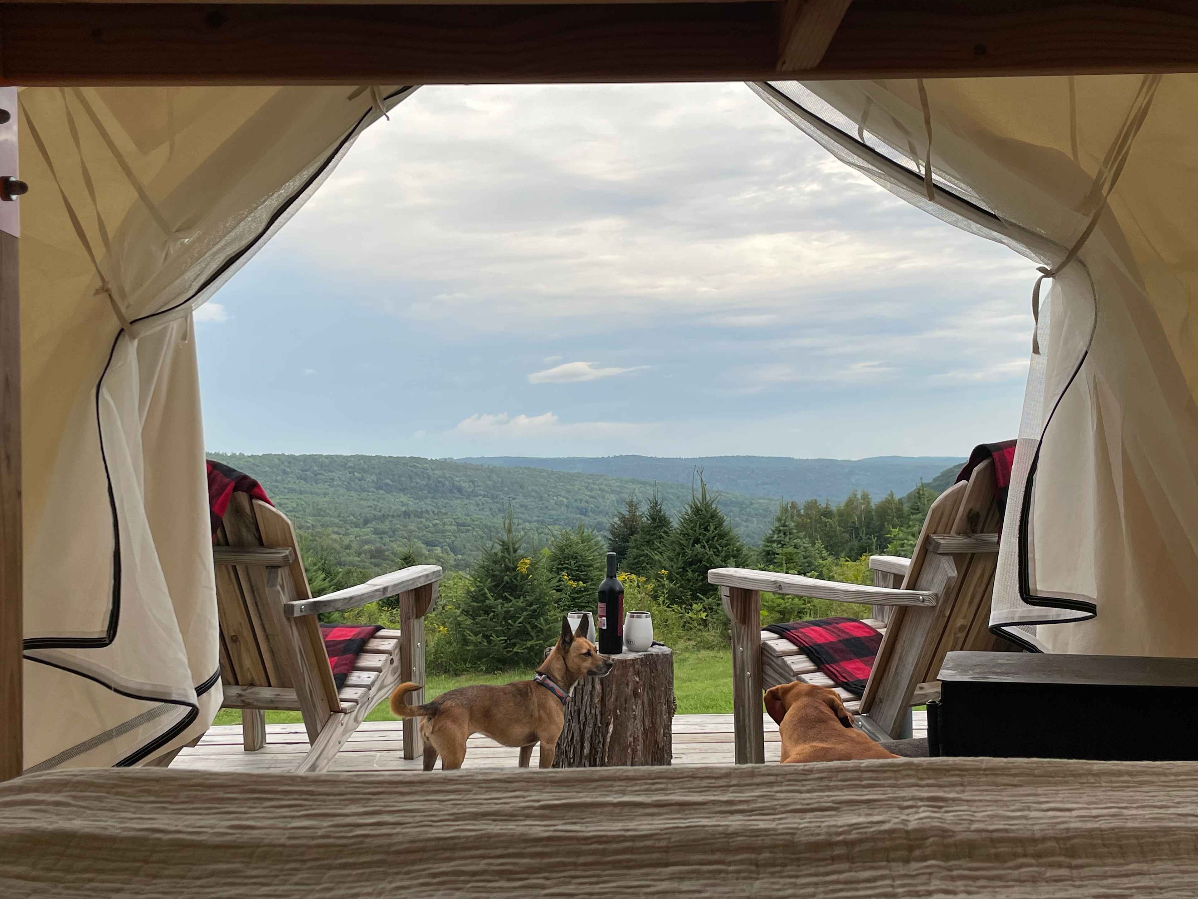 Incredible views from our Tree Farm Campsite! 