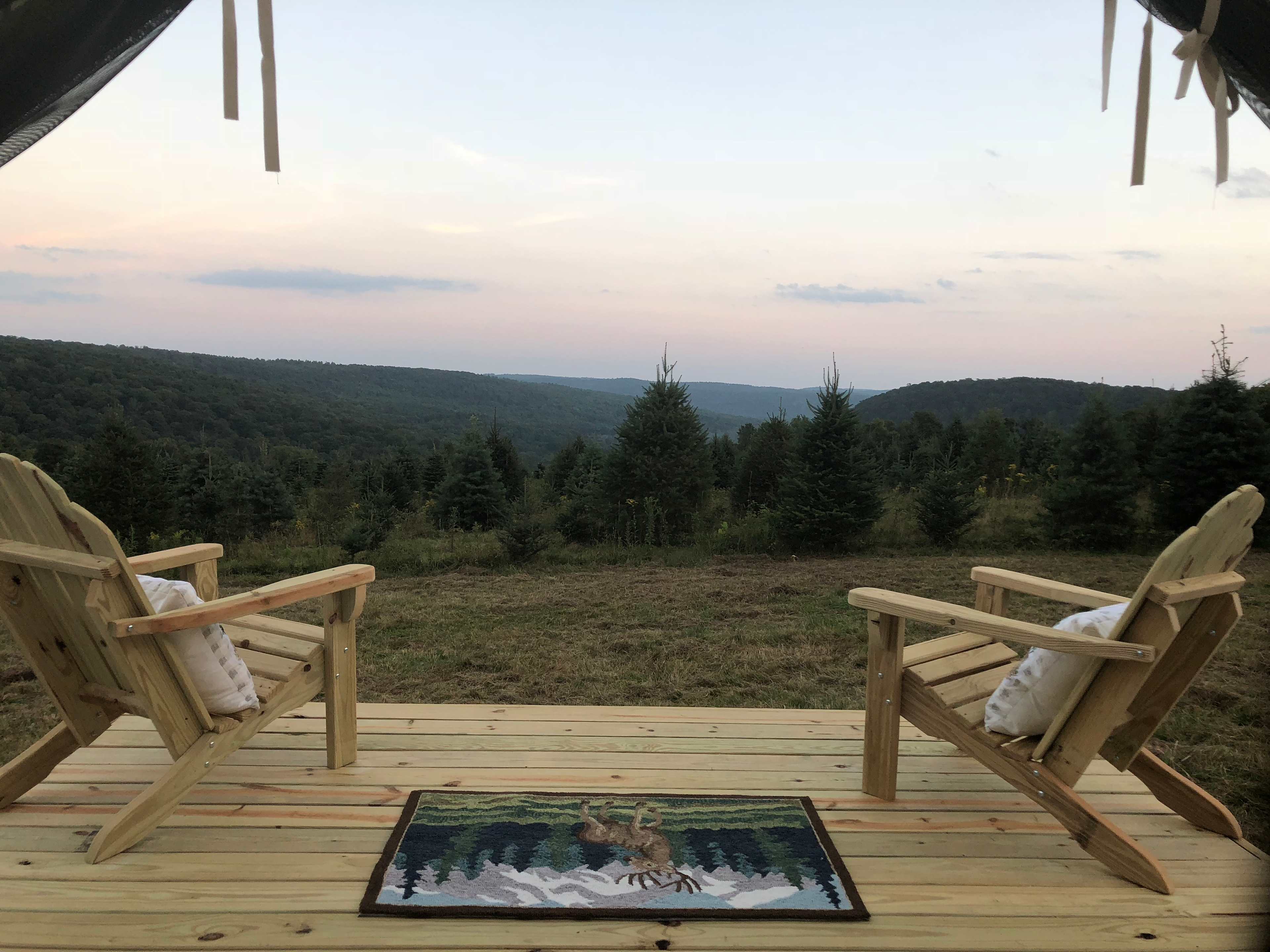 Christmas Tree Farm Hidden Delight