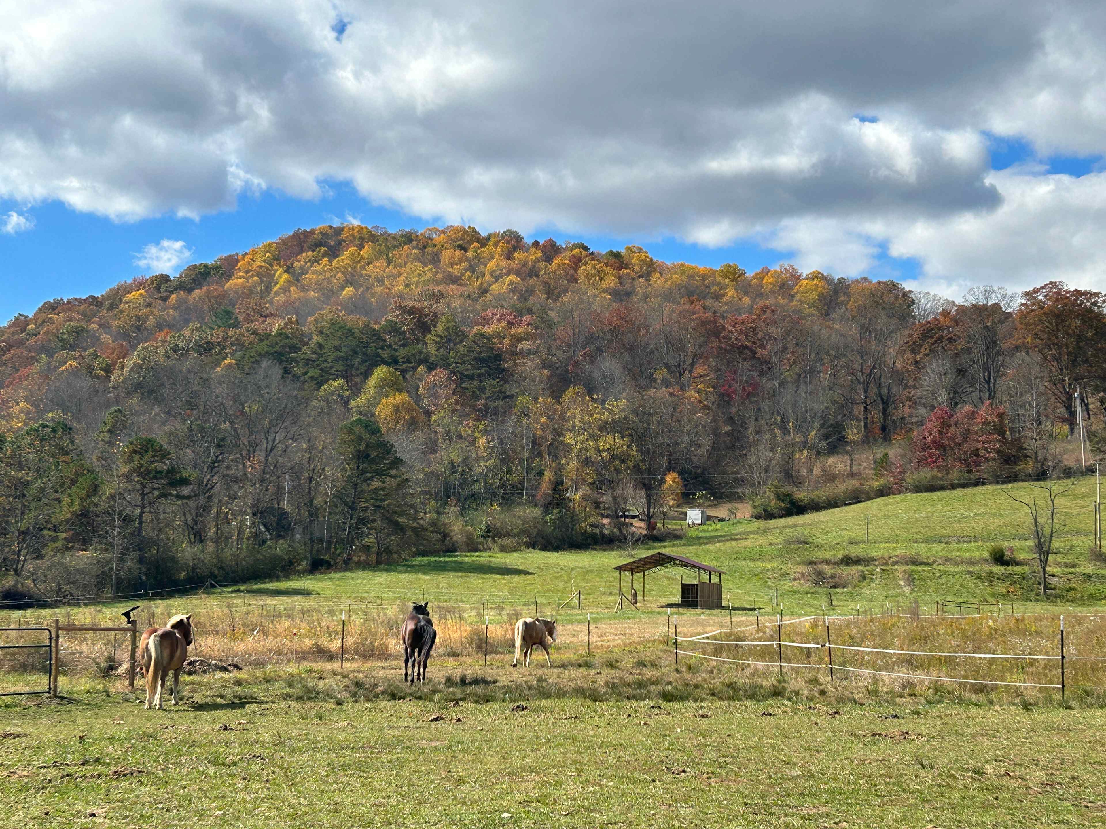 Ruby Ranch