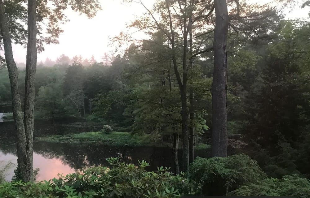 The Shire