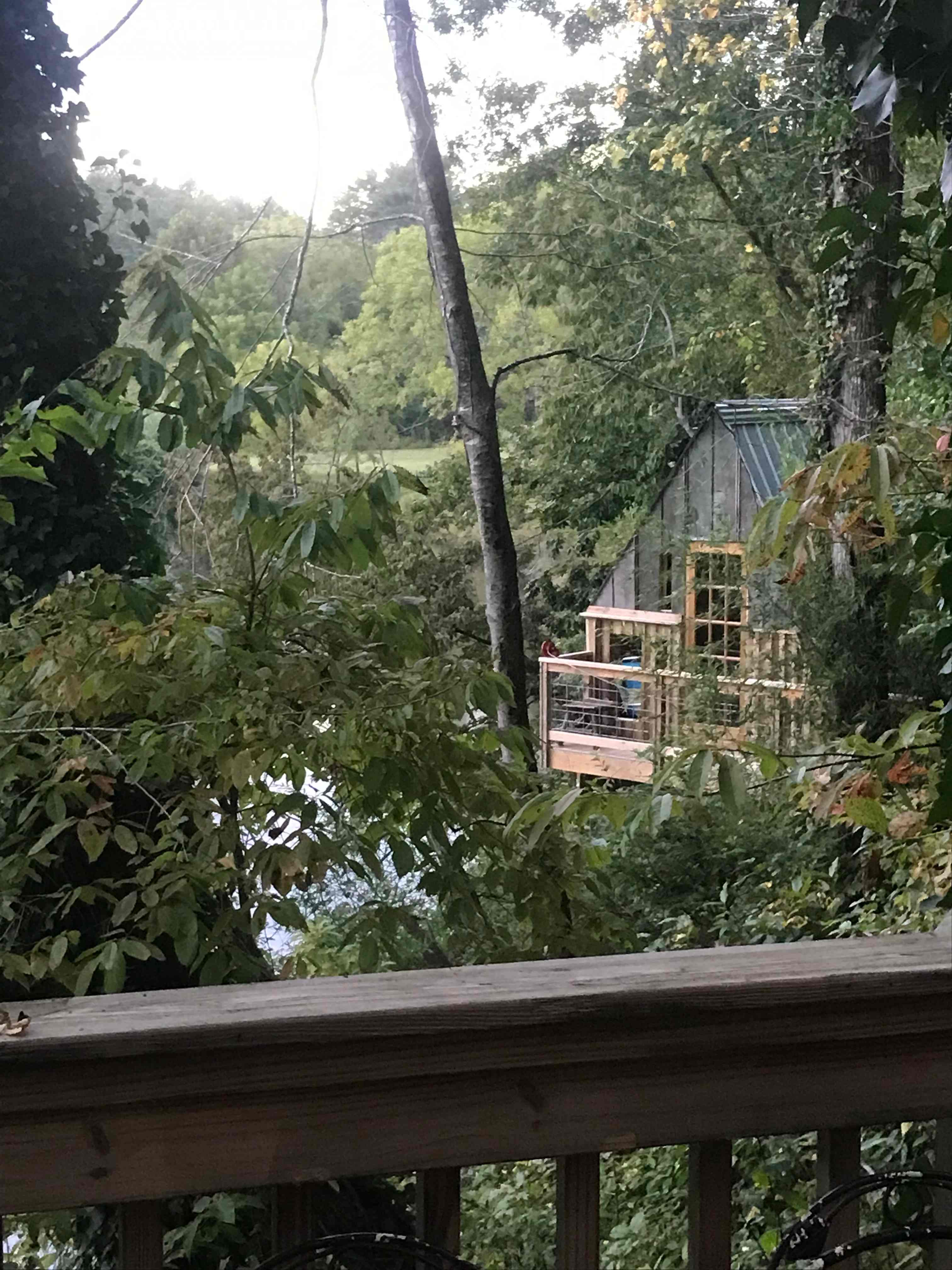 The Quack Shack