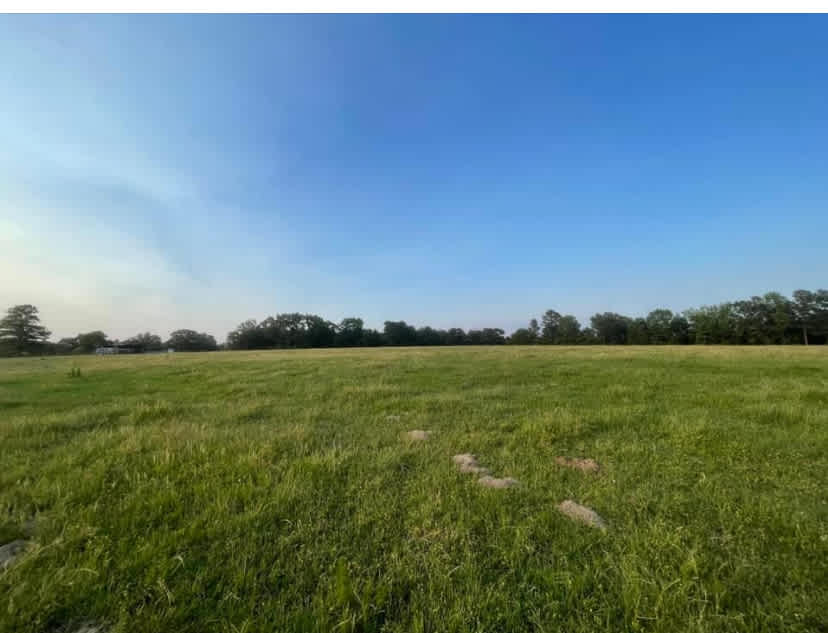 Willis Ranch