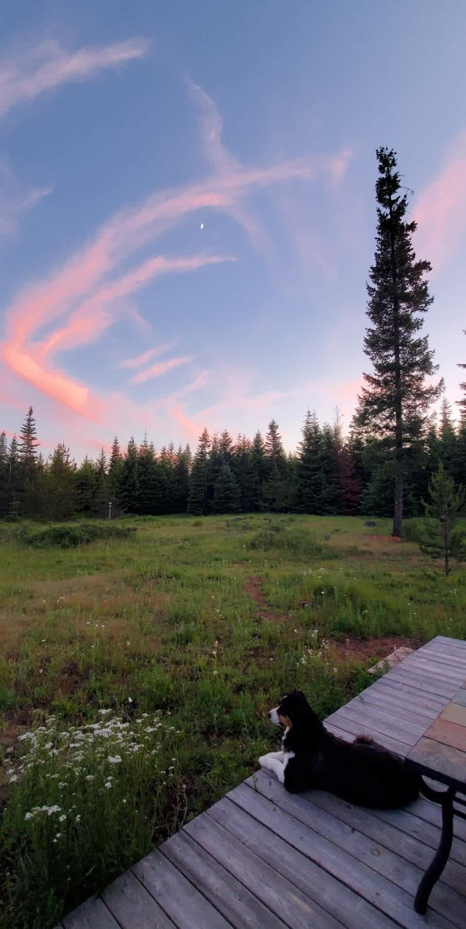 7B Cabin
