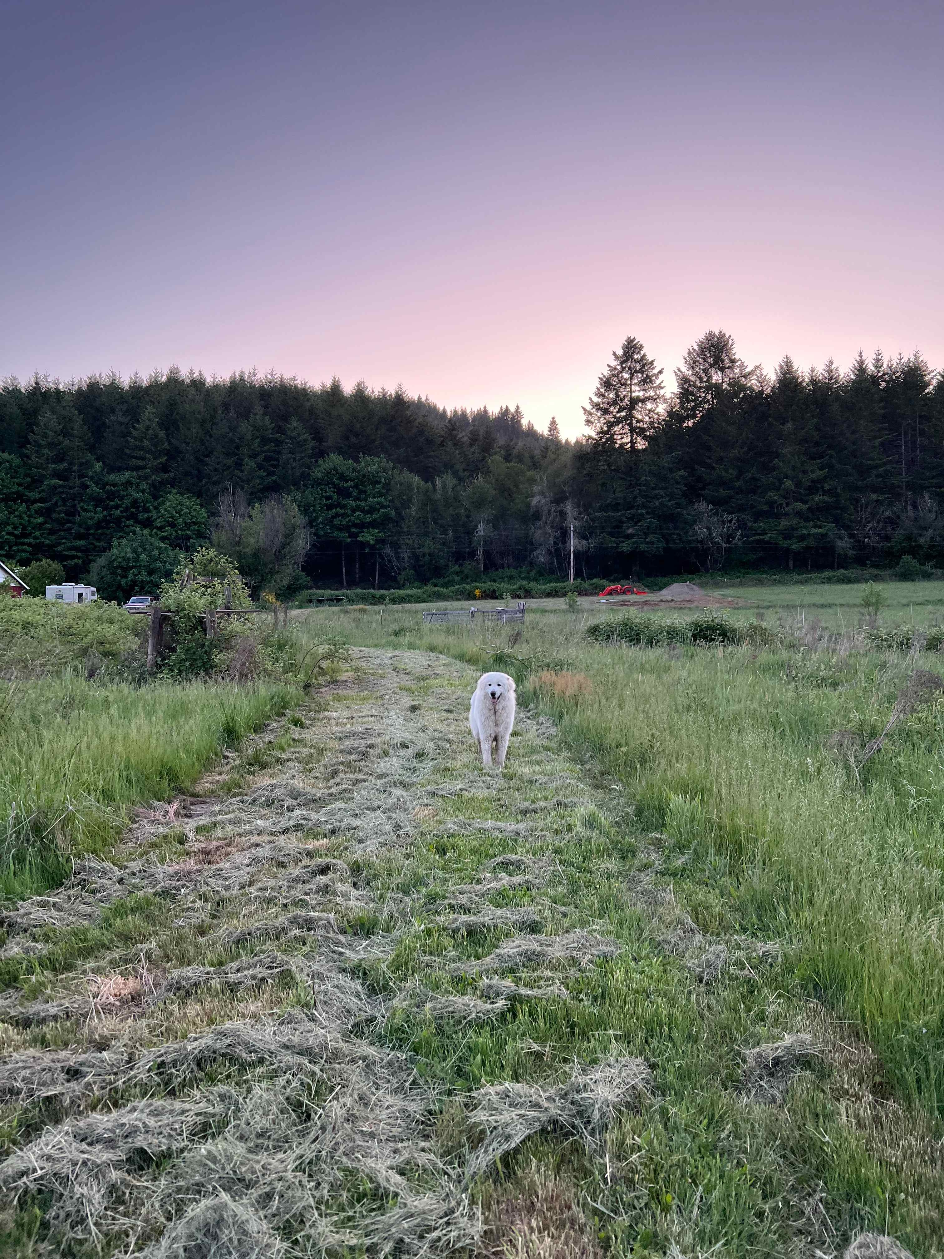 The Good Farm