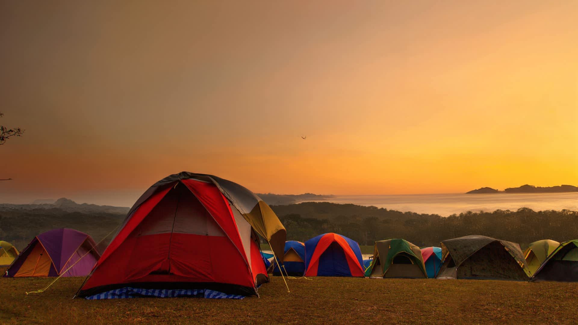 Camp Bongo
