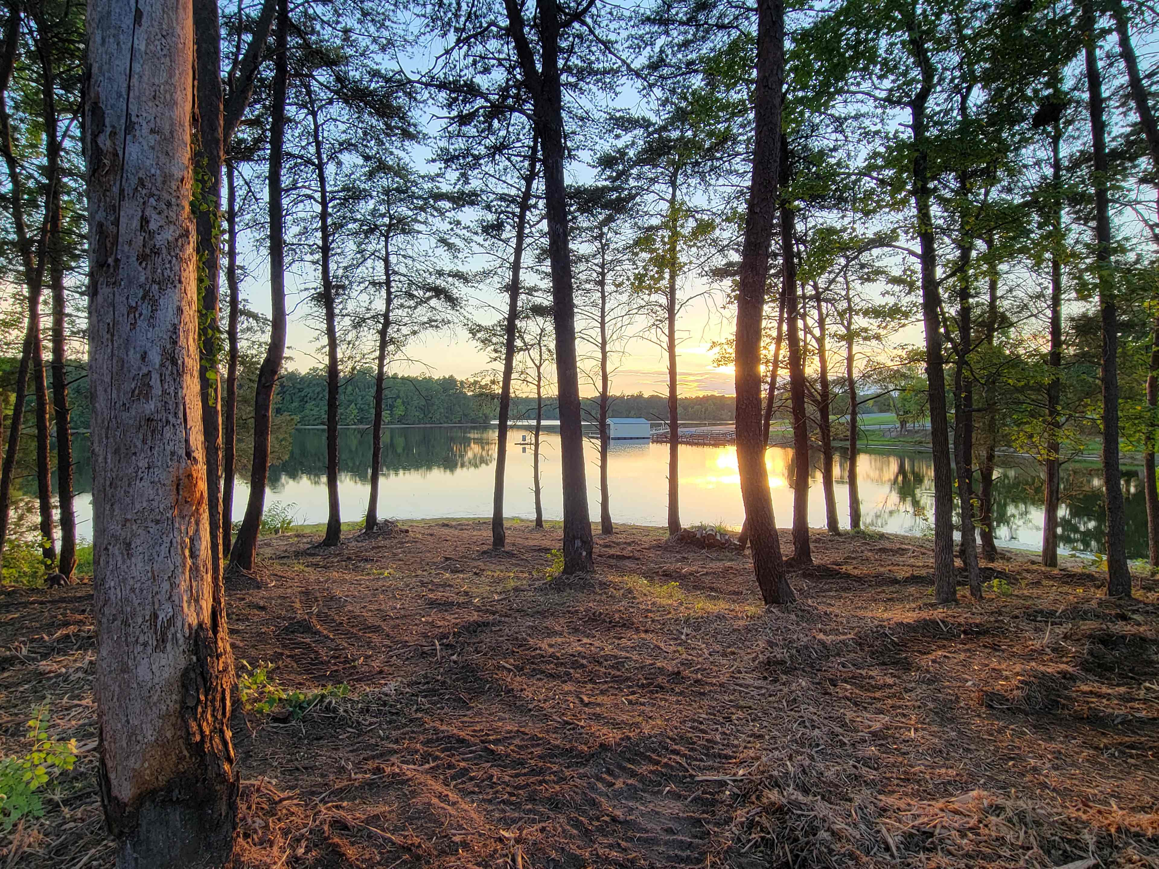 Turtleback Cove