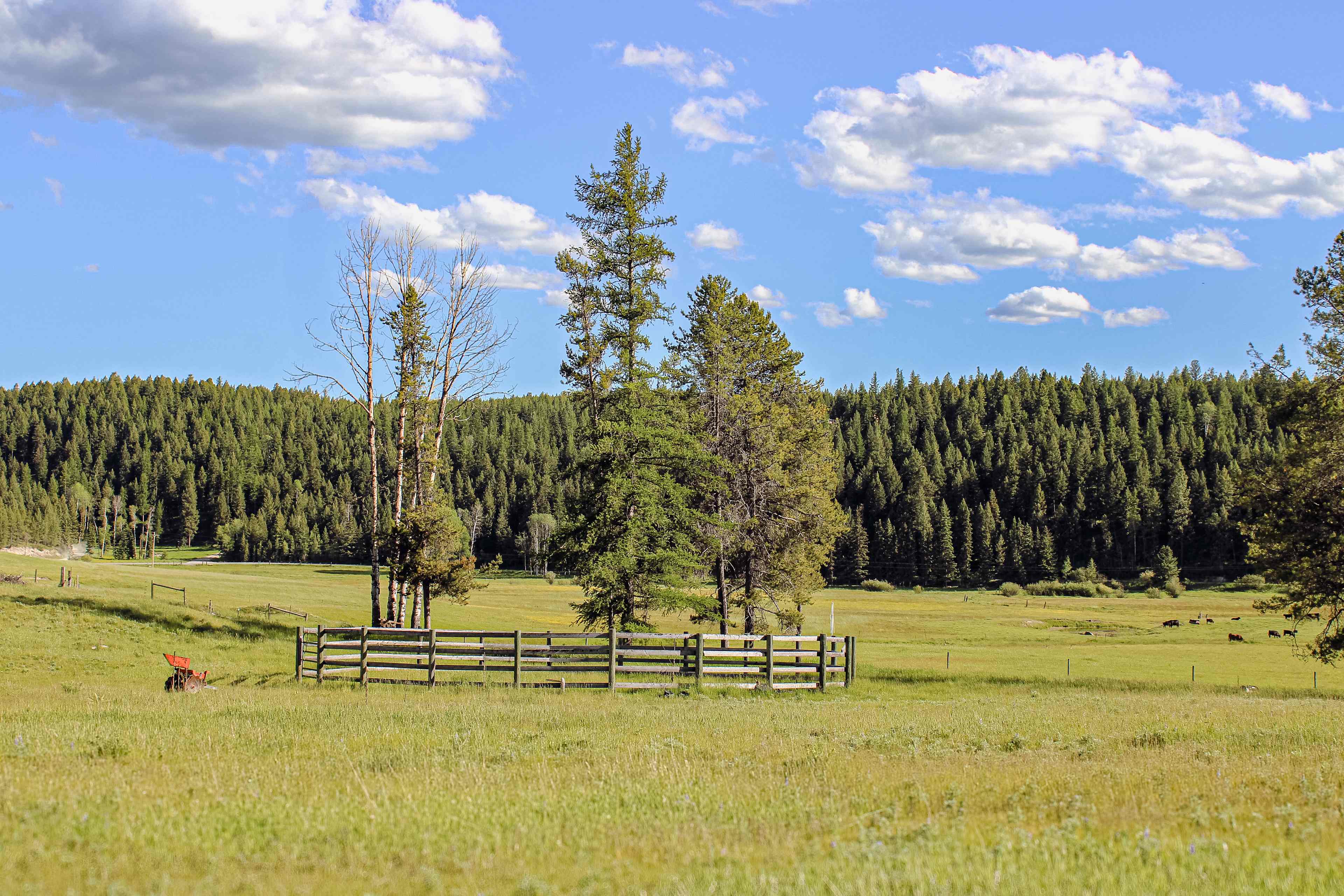Horse Corral as well!