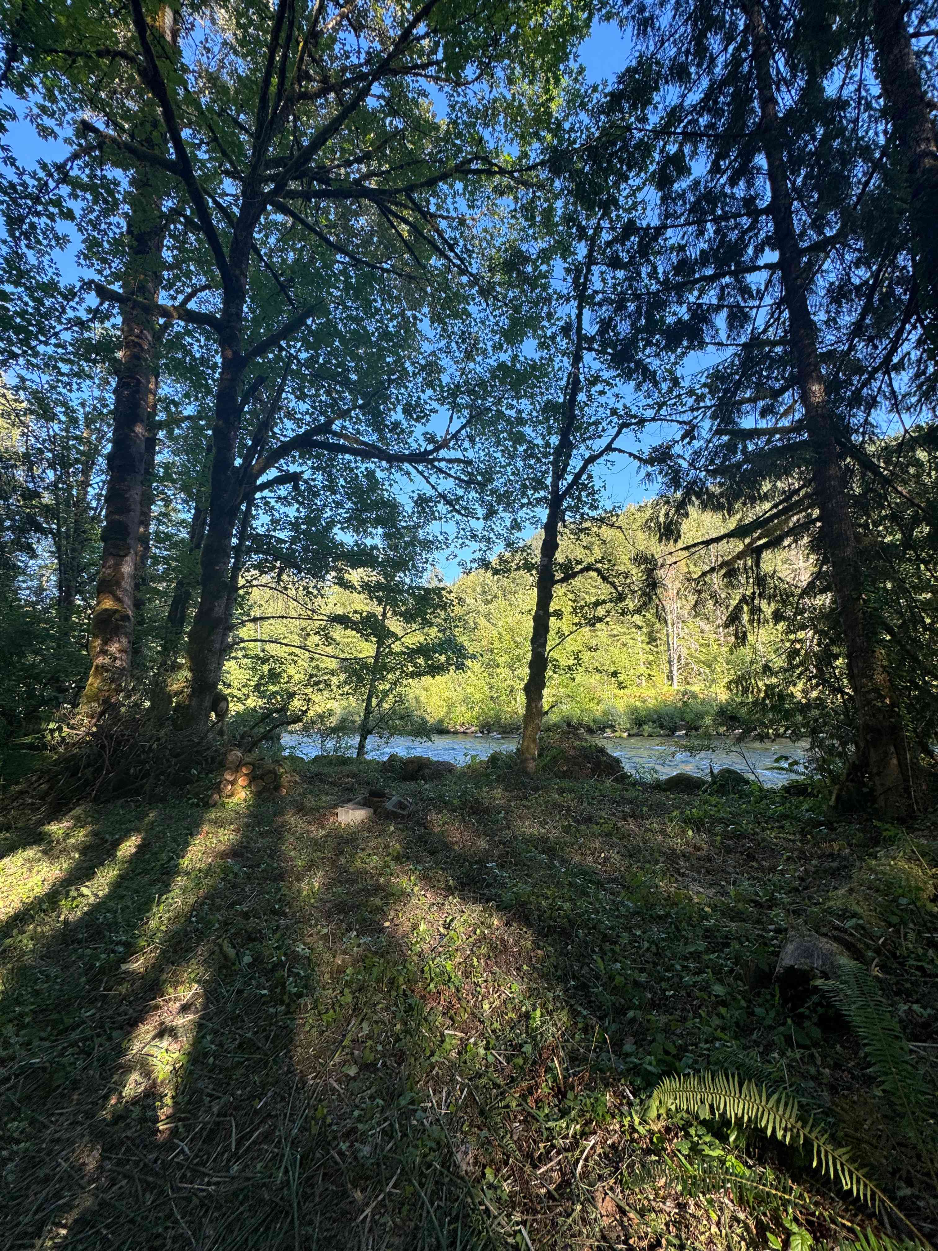 Mt. Hood Enchanted Forest