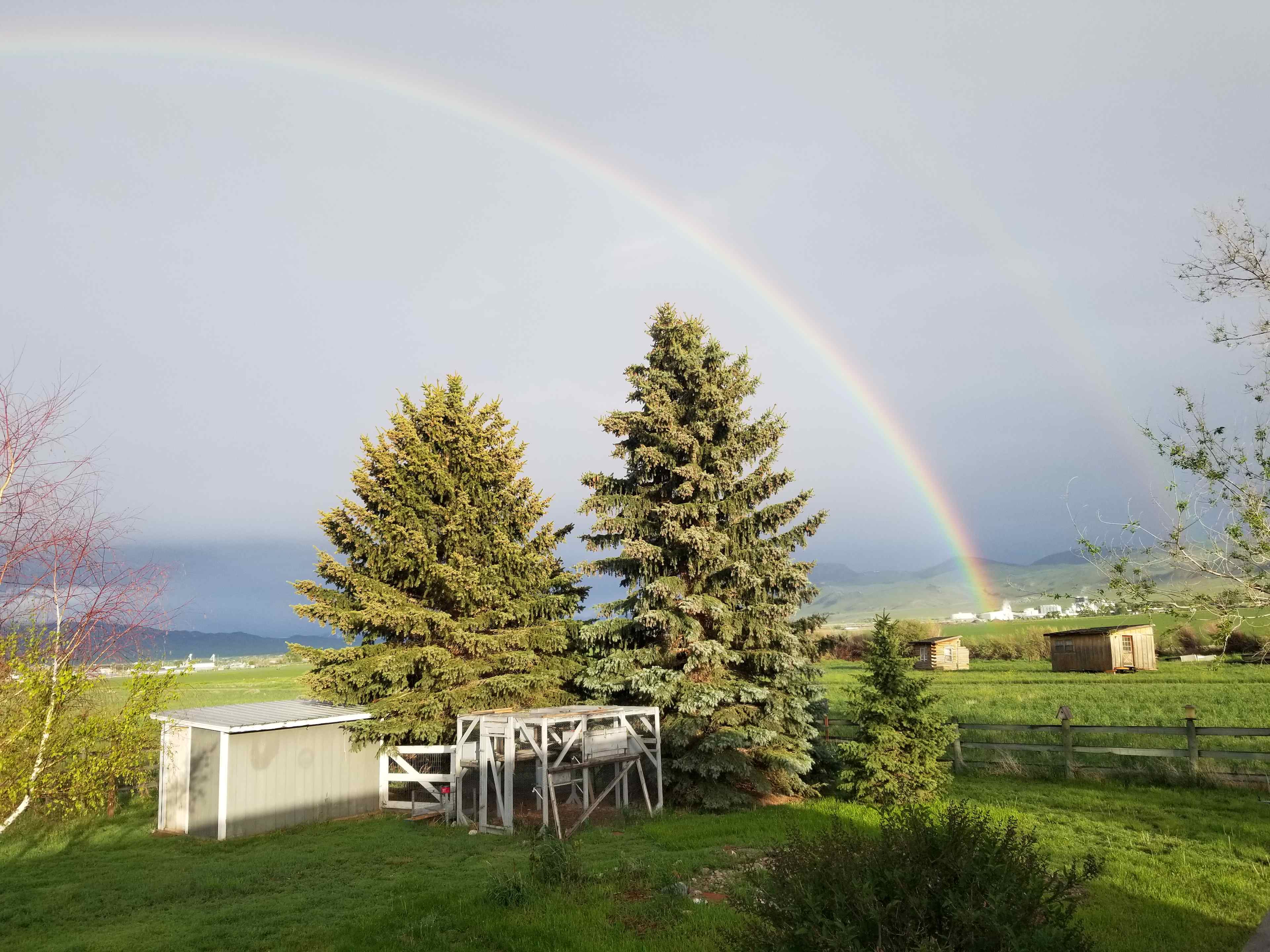 Country RV And Tent Spots