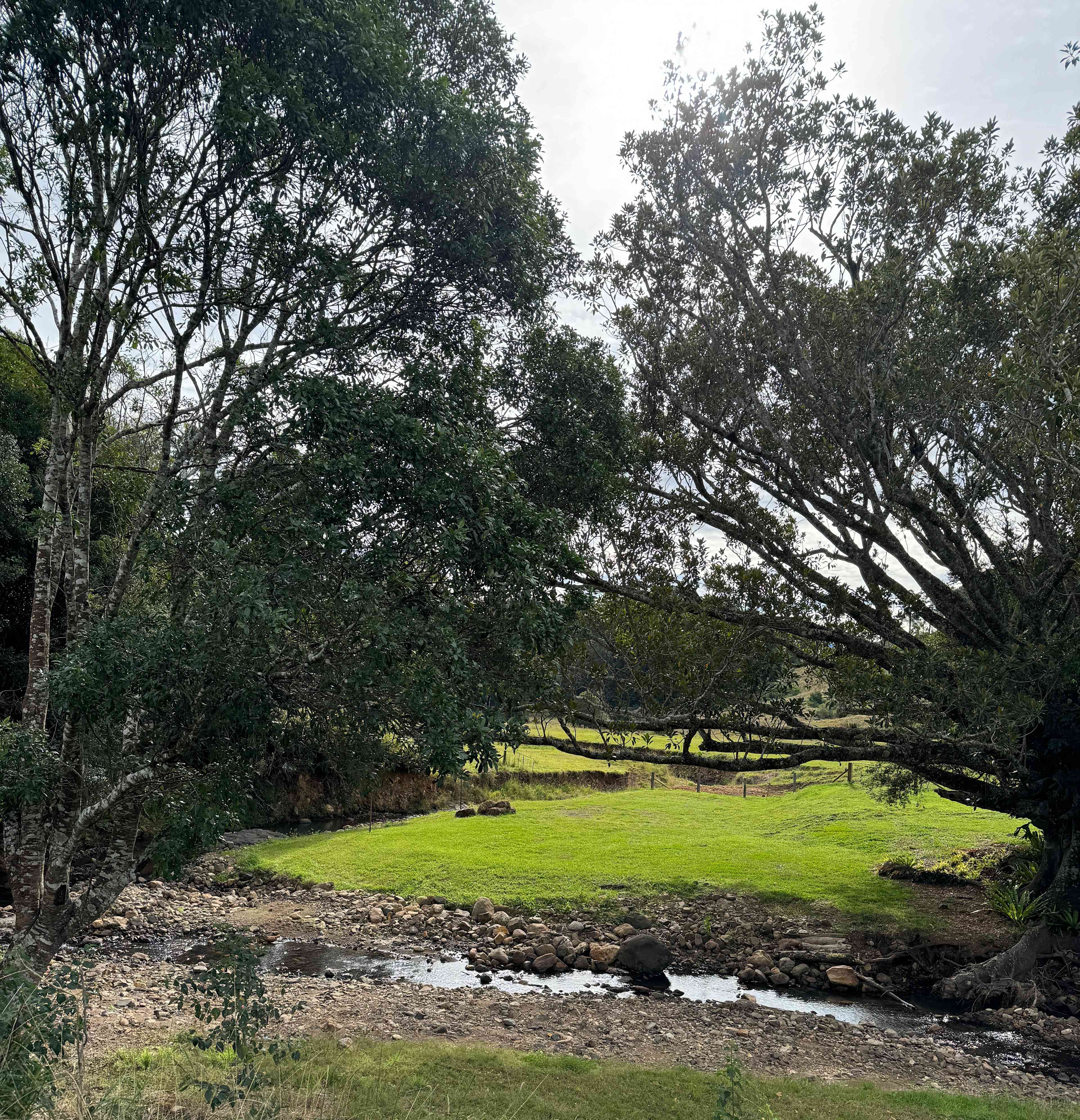 Tweed Valley - Doon Doon Farm