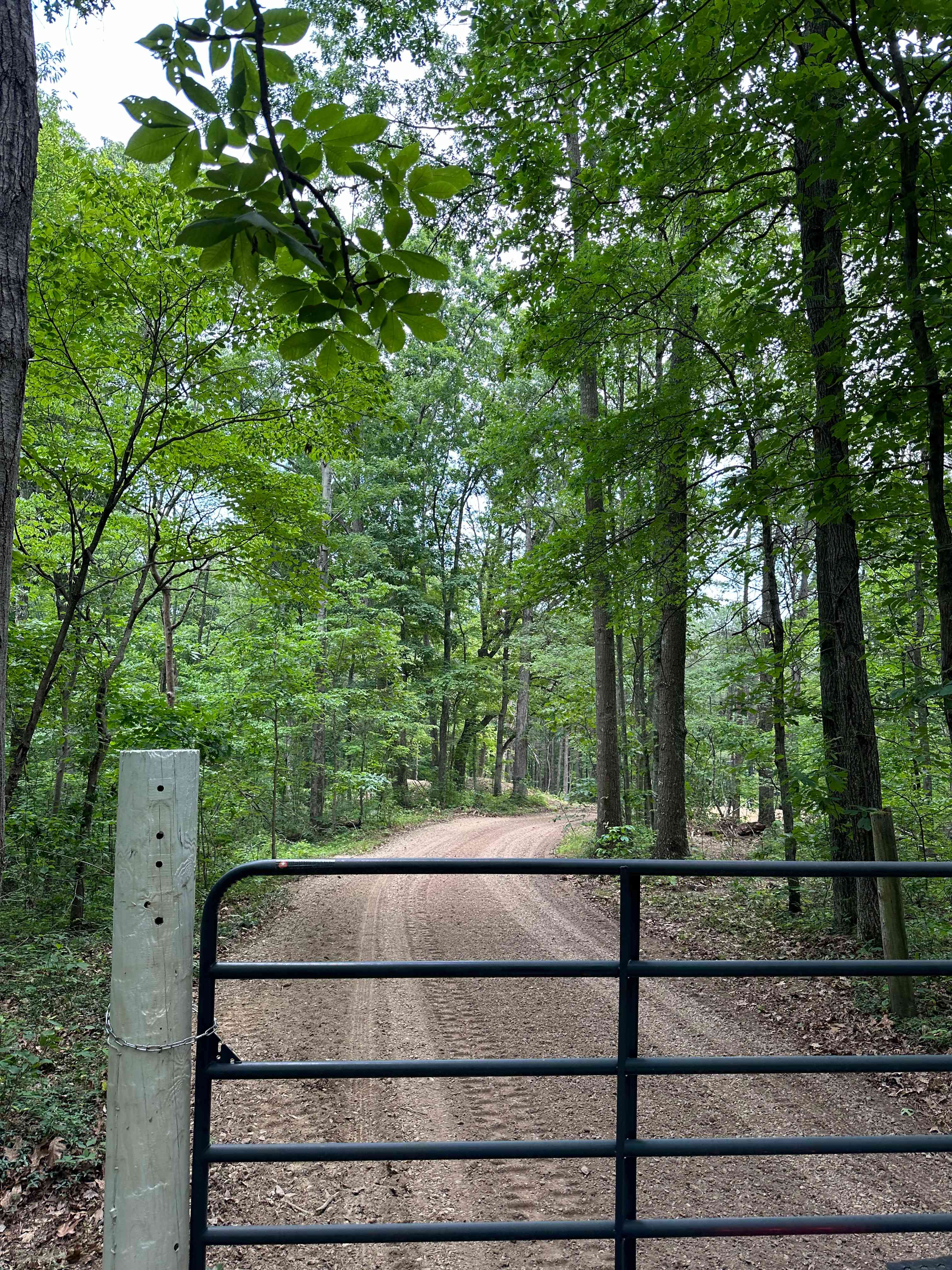 Hawk Falls - Main Site
