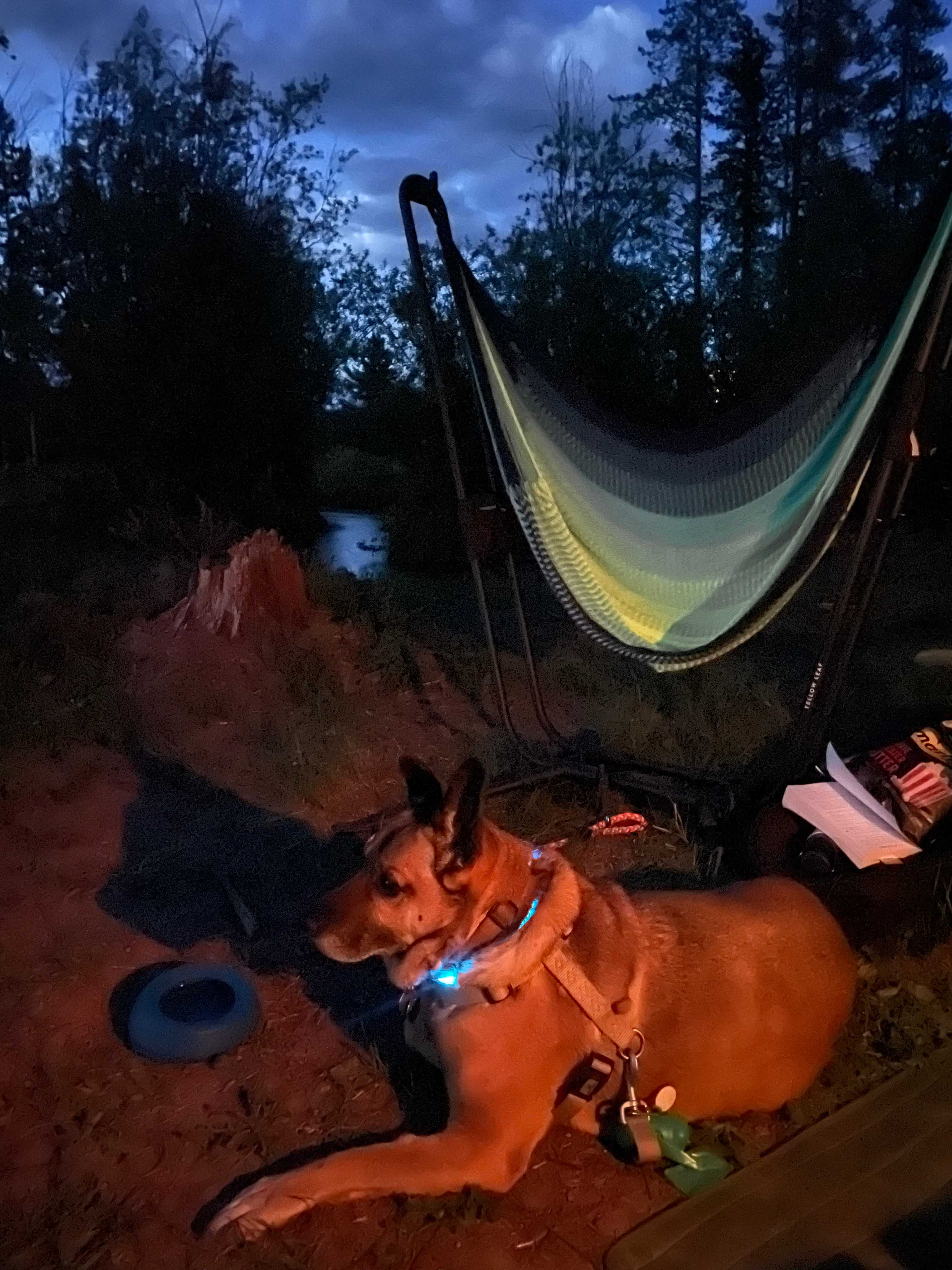 Angell Creek Campground