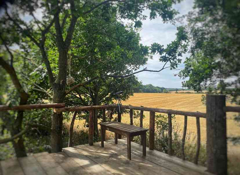 Fleets Paddock Glamping & Camping