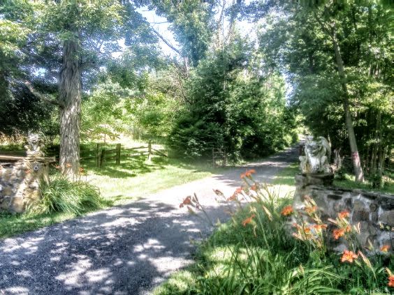 The Creekside at Goat Hill