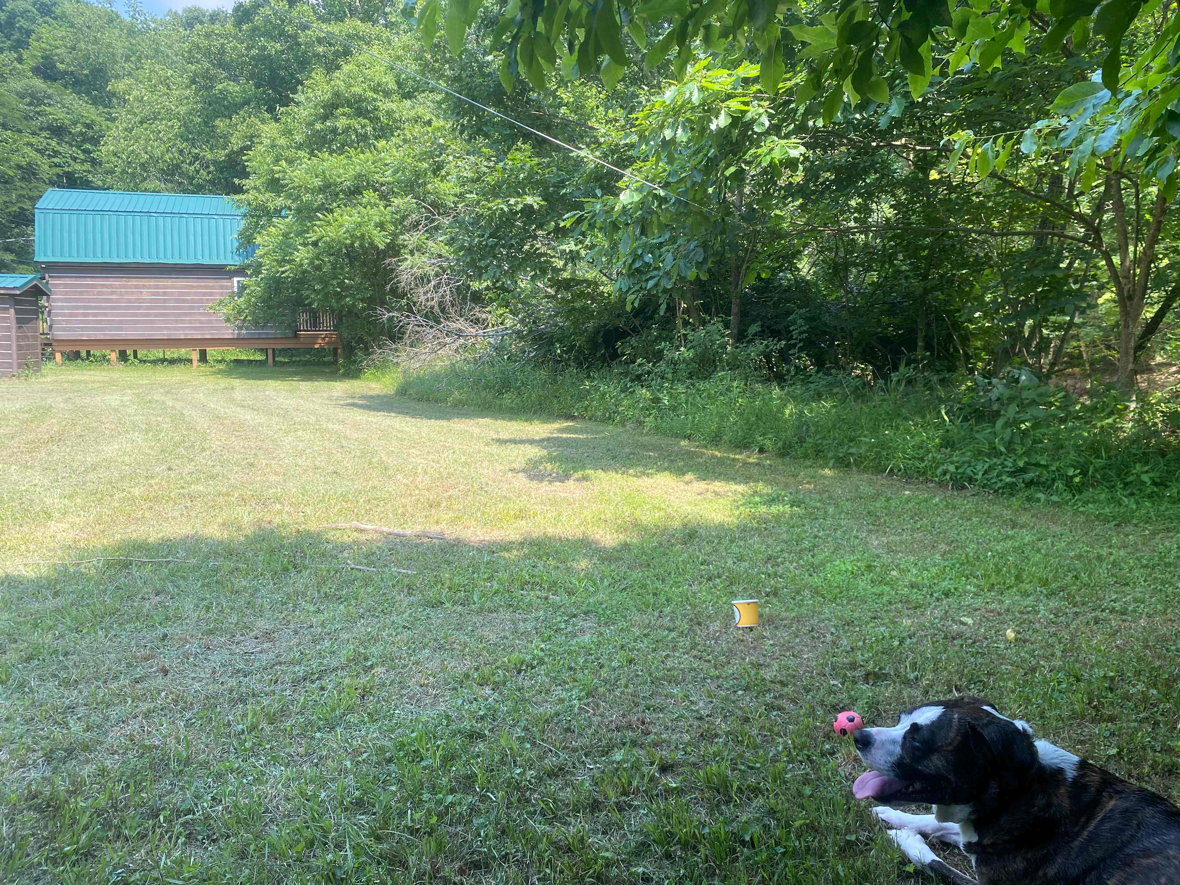 this is the owner’s cabin 