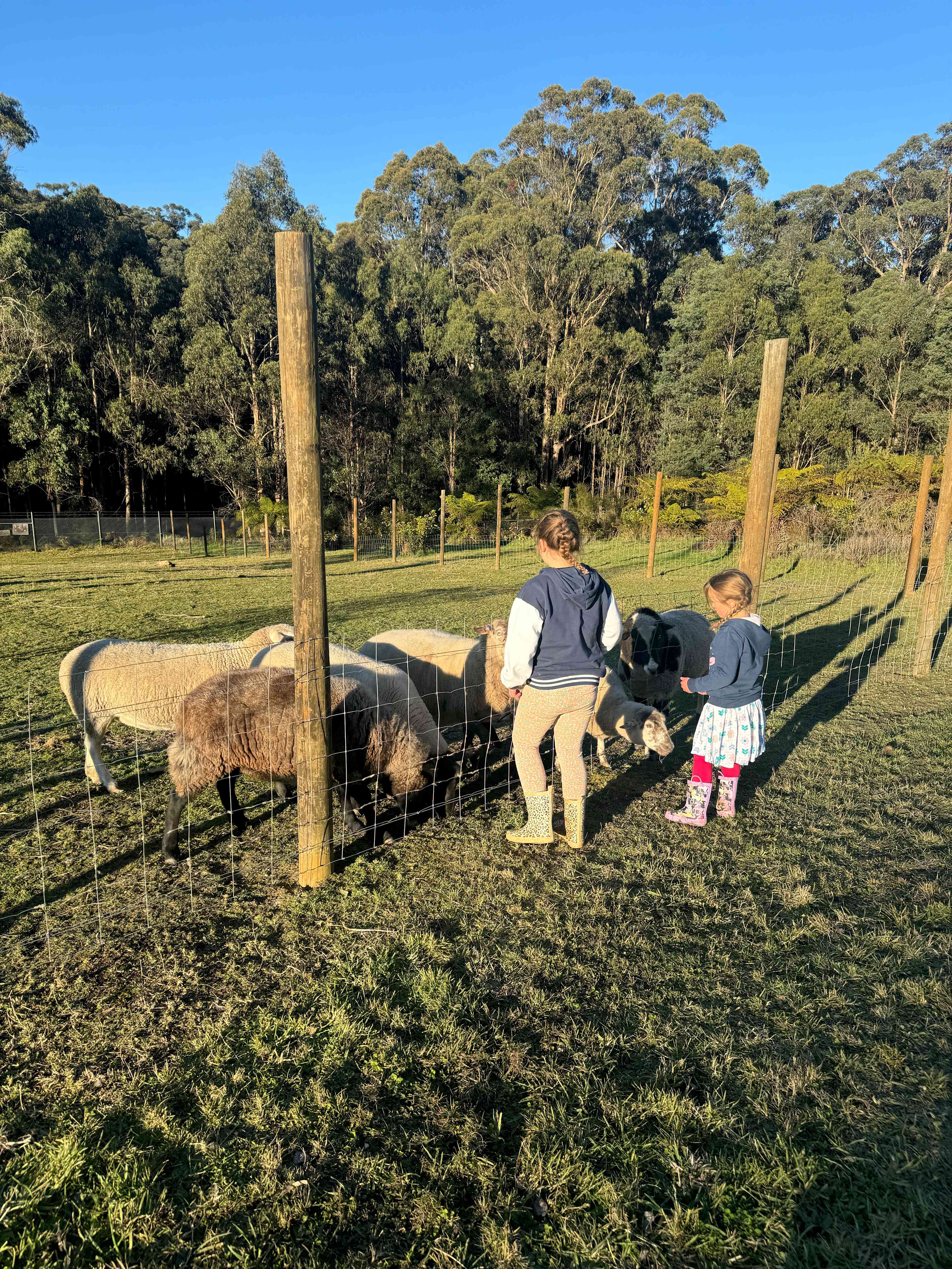 Fowkes Family Flower Farm