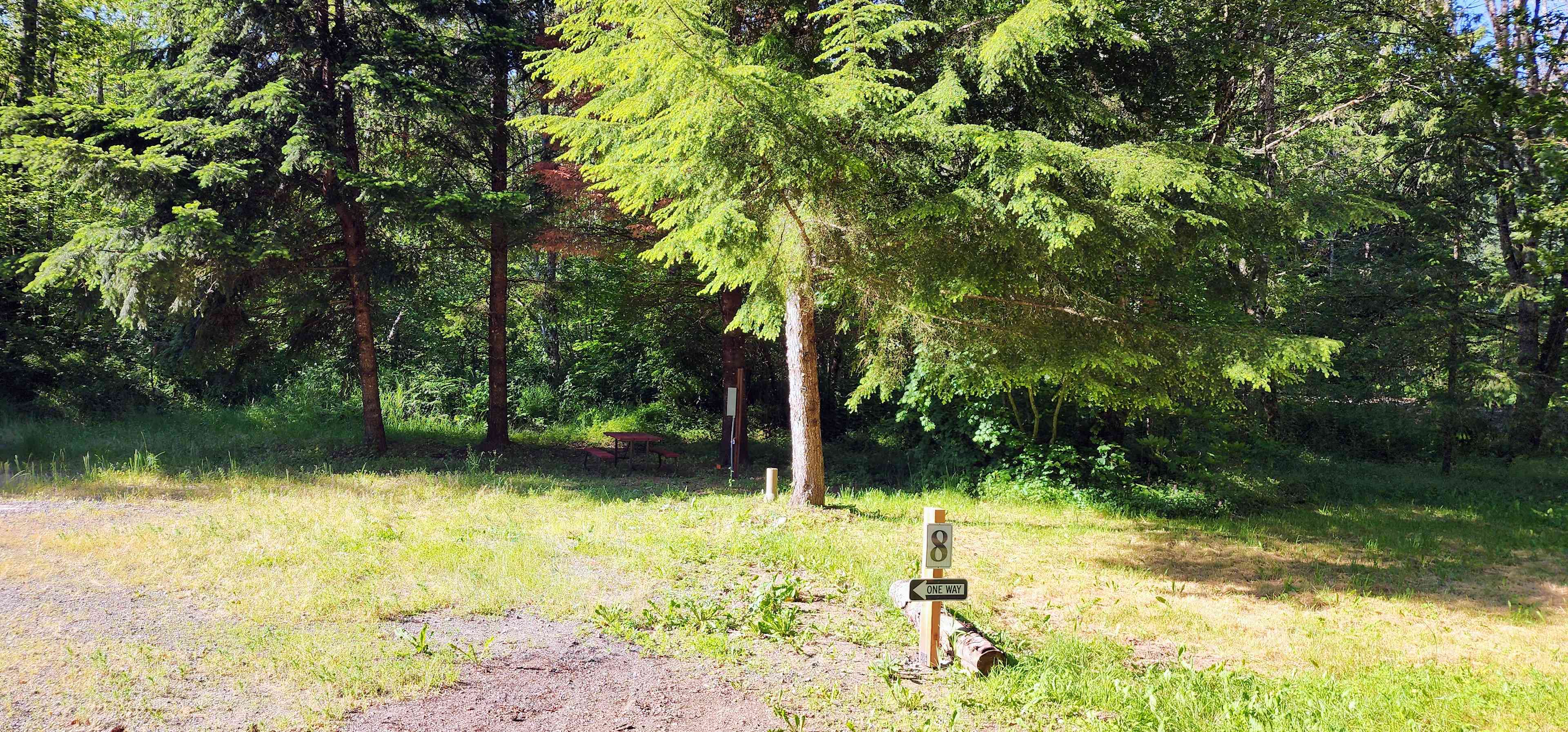 Riverside Camping Near Mt Rainier