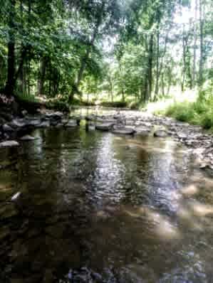 The Creekside at Goat Hill