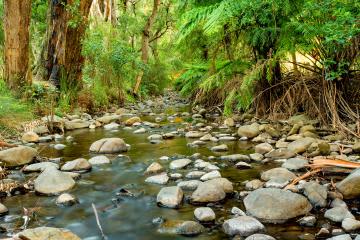 Yarra Valley Park Lane Holiday Park