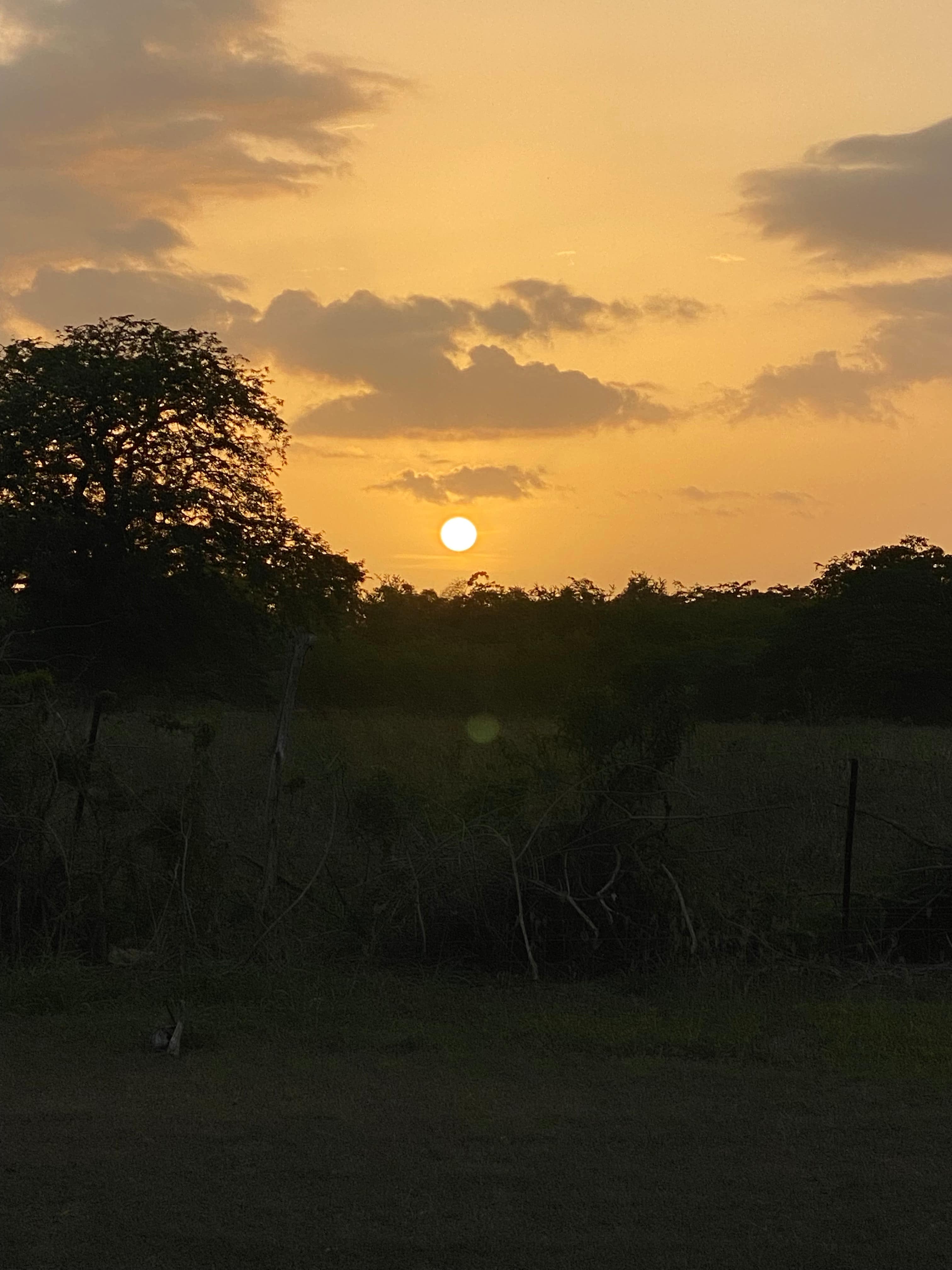 Inriri Farm Cabo Rojo PR