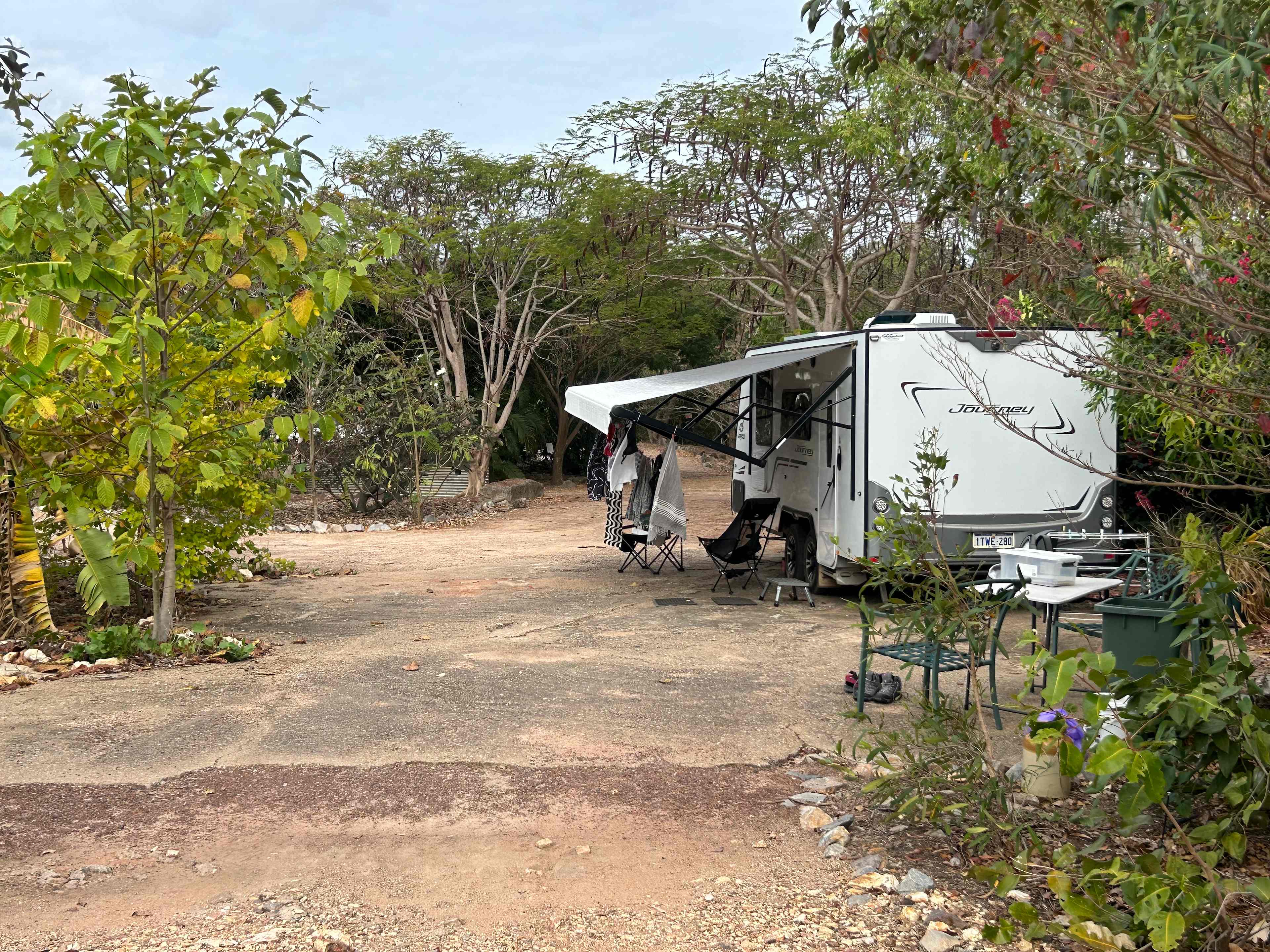 Bougainvillea Site 