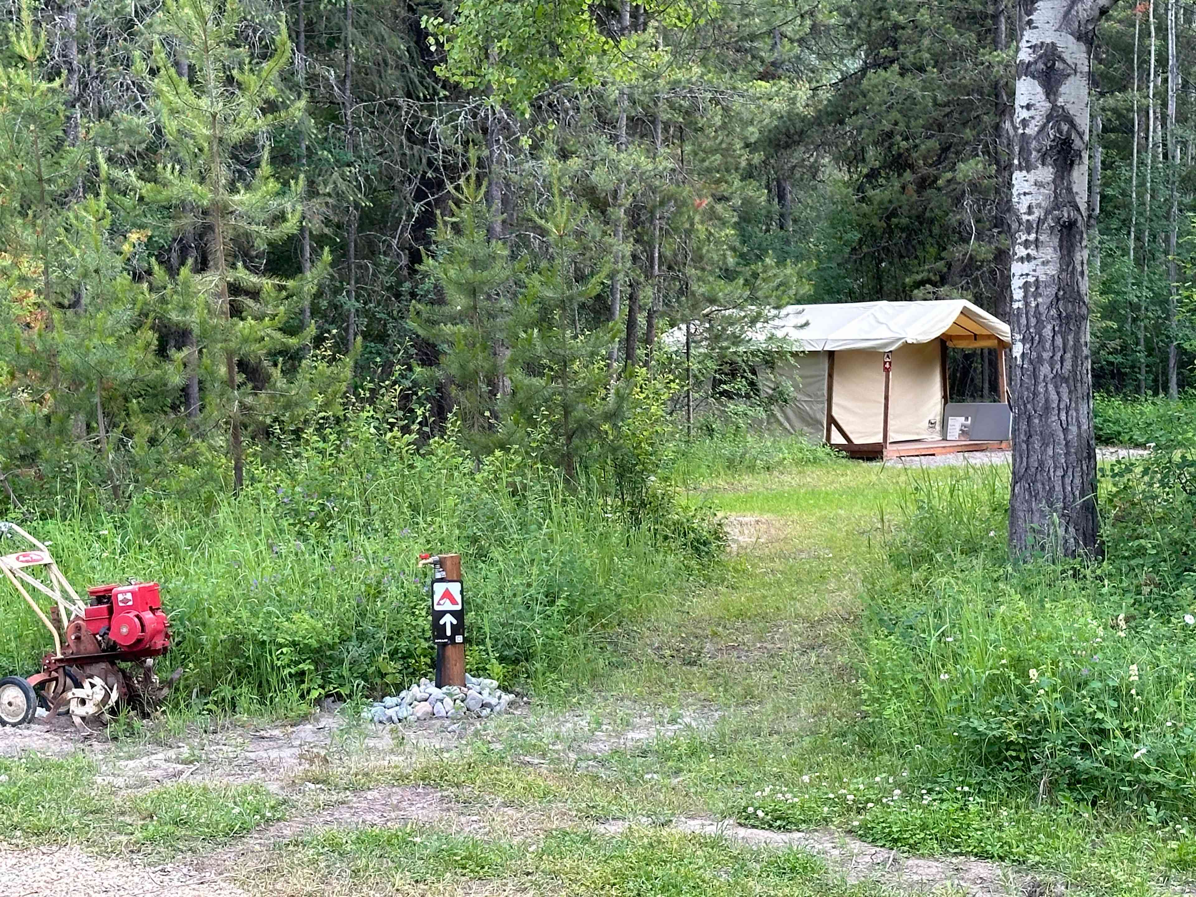 Camp Lazy Bear
