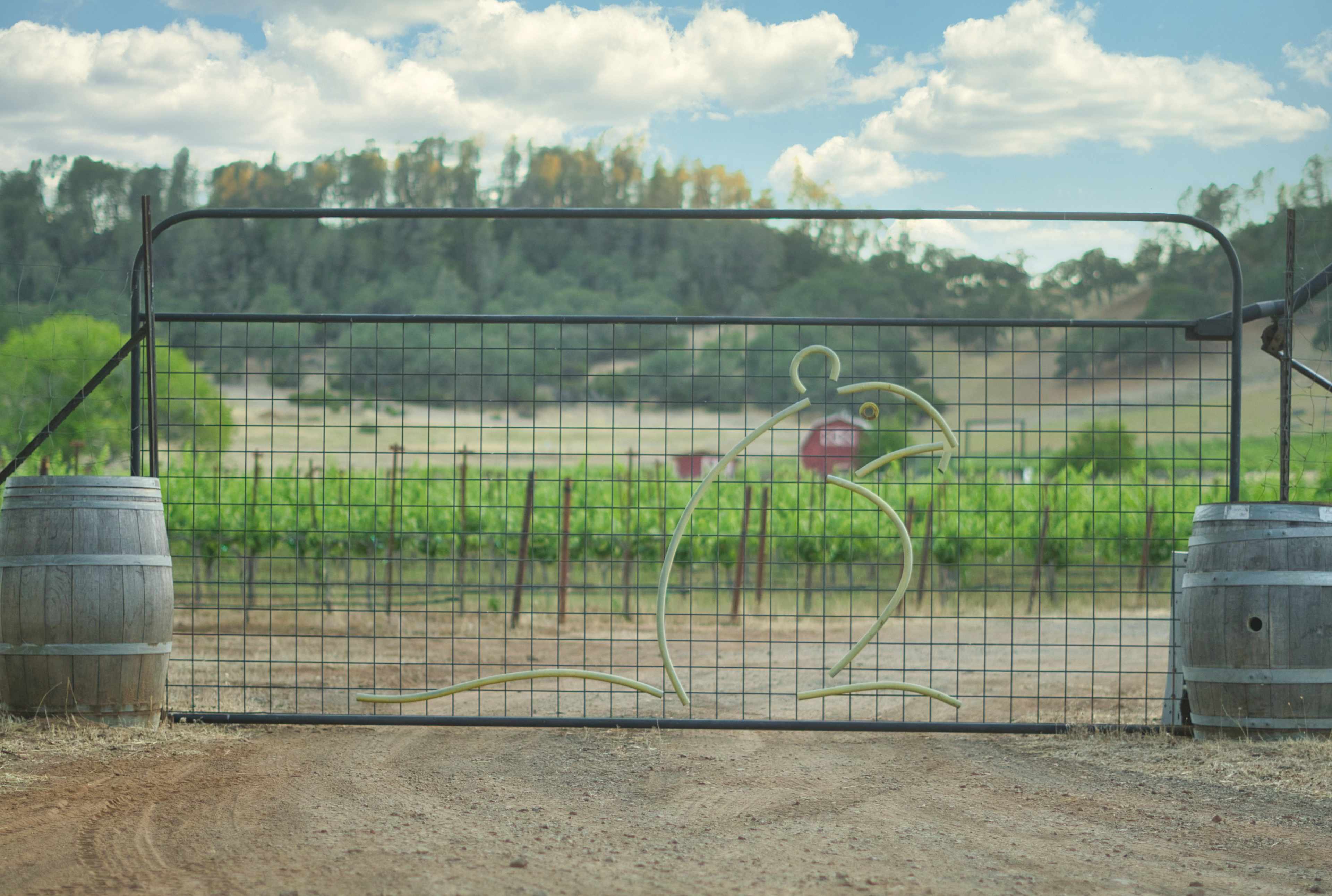 Entrance to Bad Rat Ranch