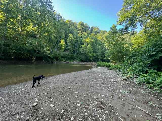 On Rivers Edge