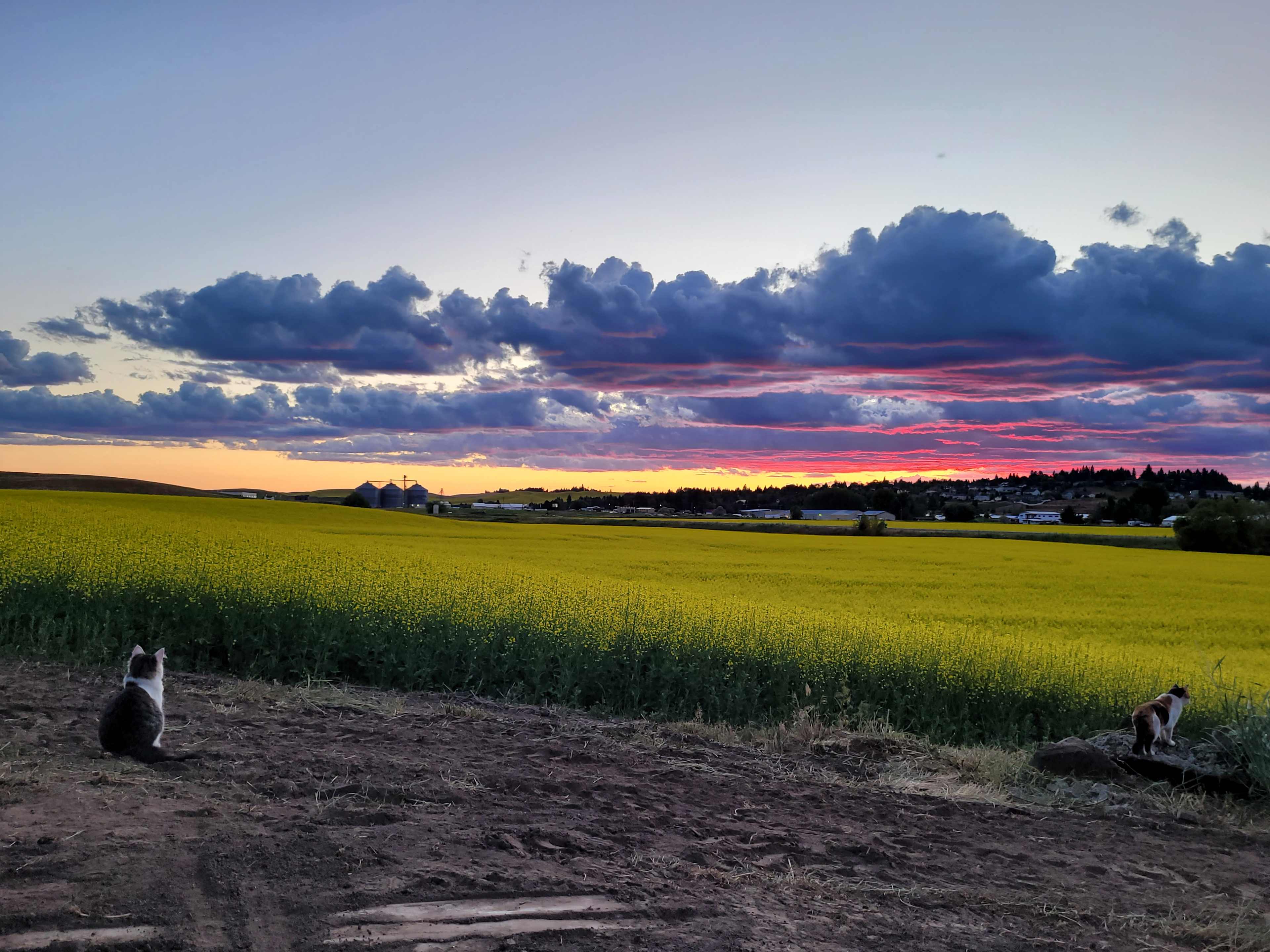 Convenient Palouse Paradise