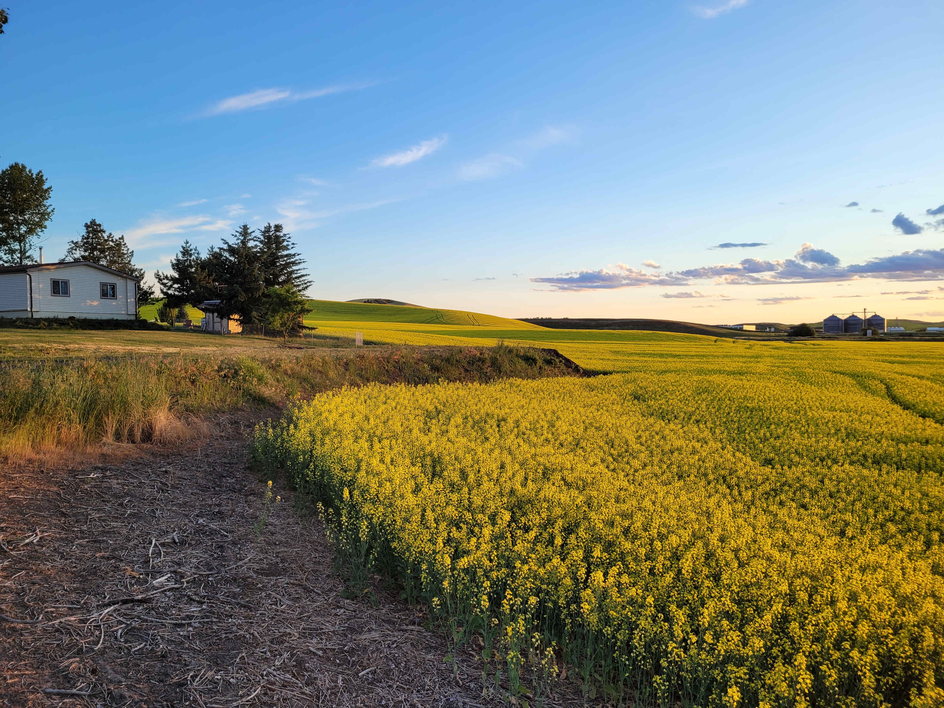 Convenient Palouse Paradise