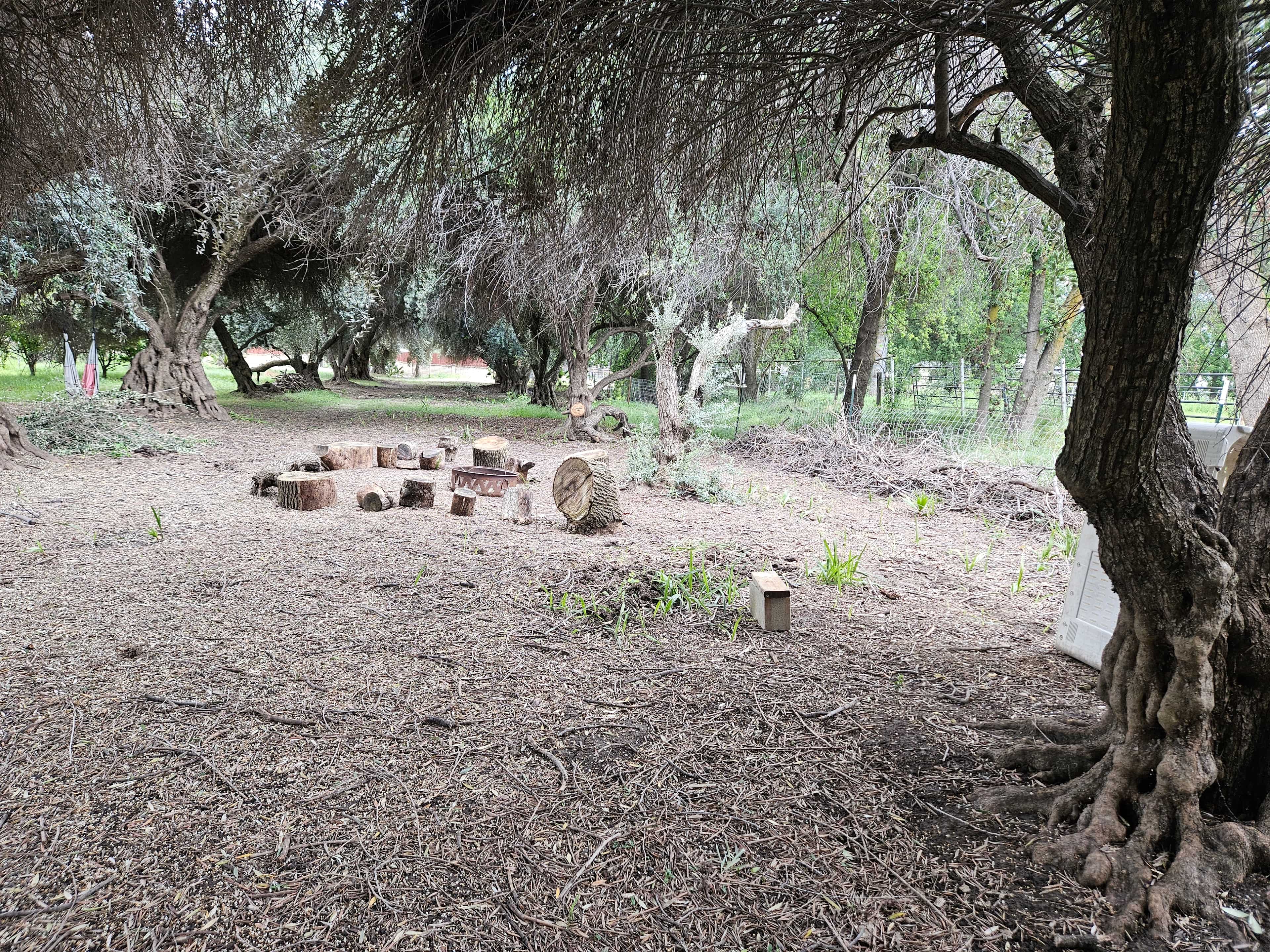 Blue Moon Orchard Retreat