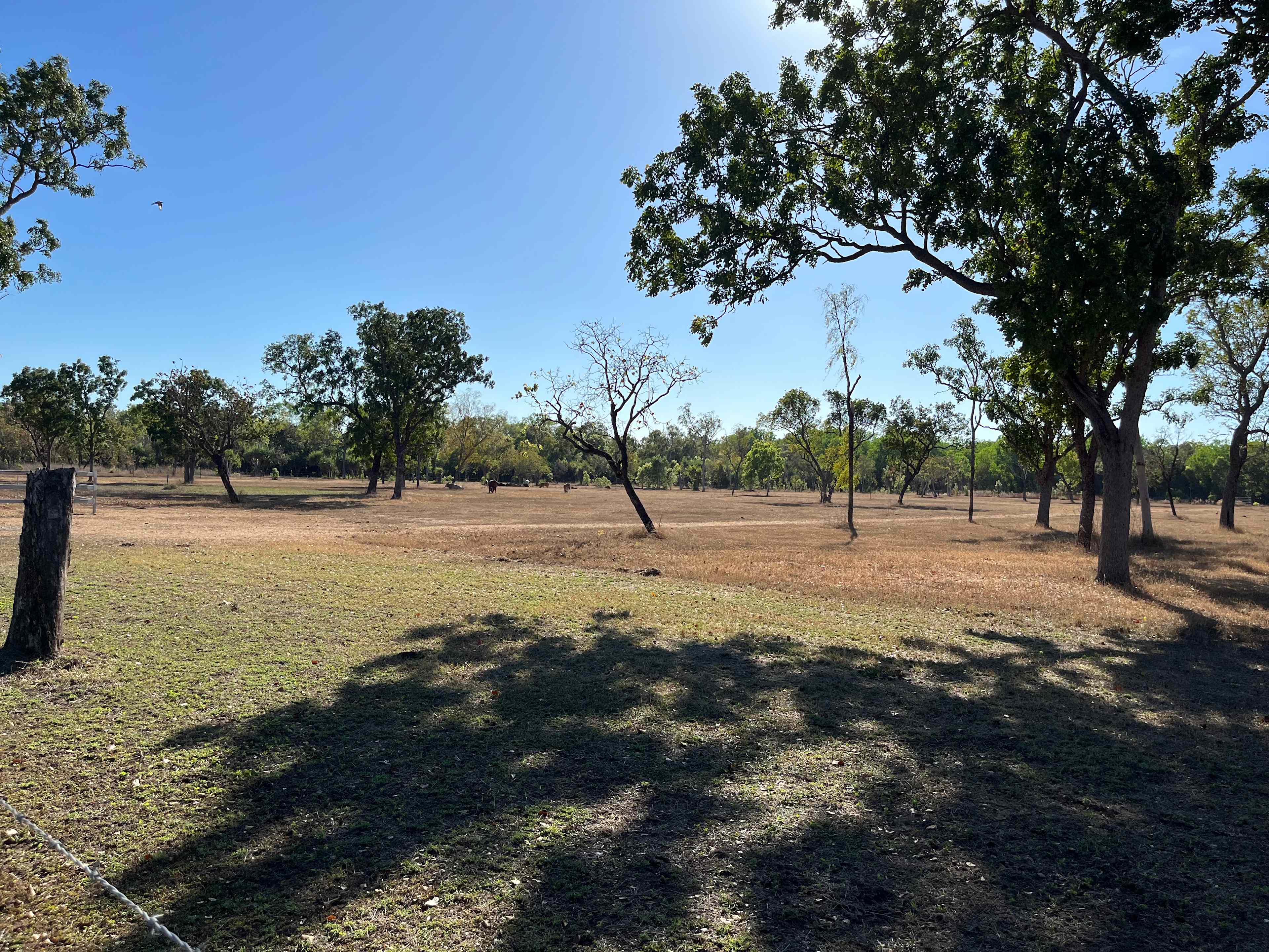 Leichhardt Arena Farm Stay