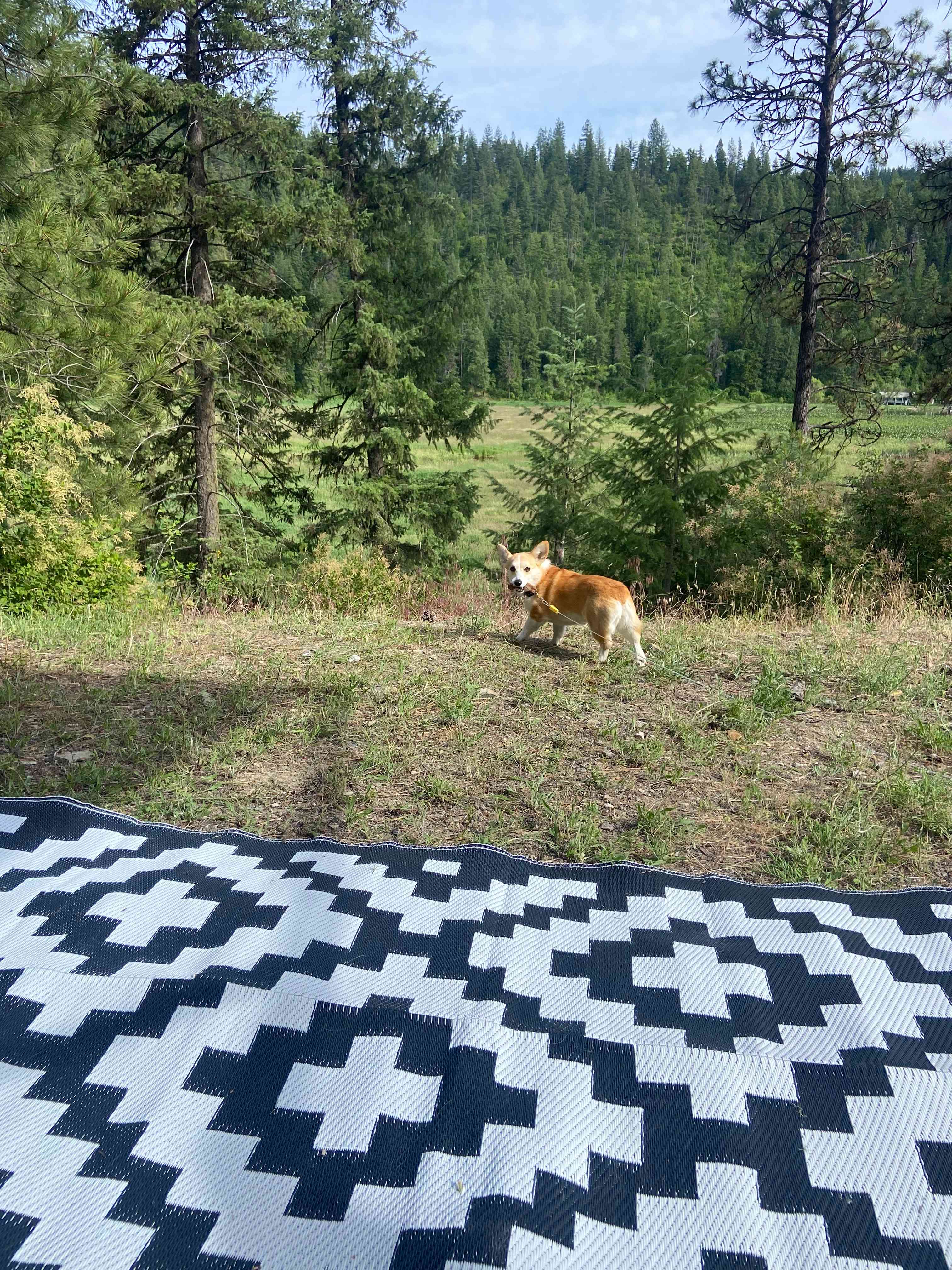 Camp Cameo