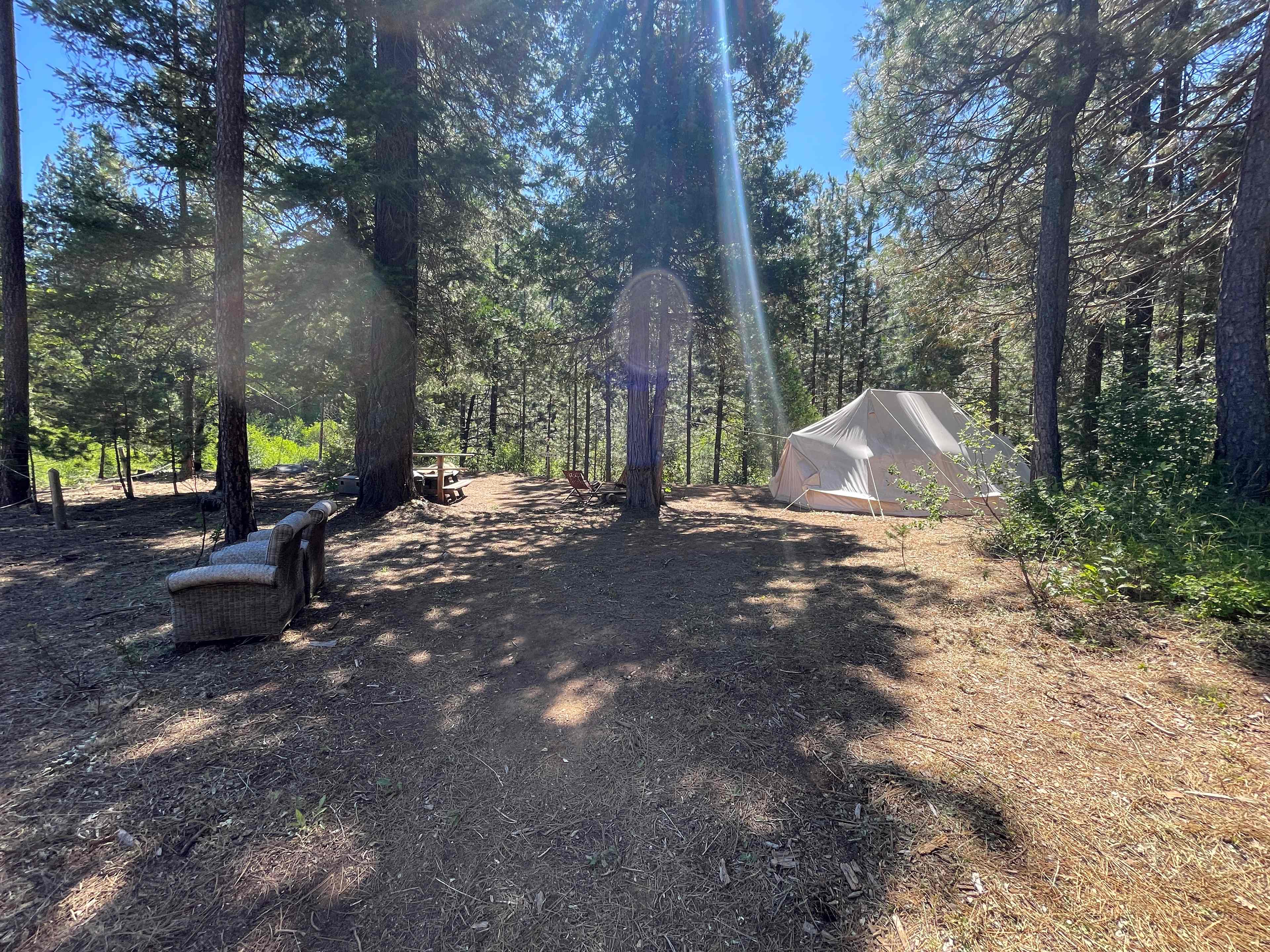 Wild Plumas California